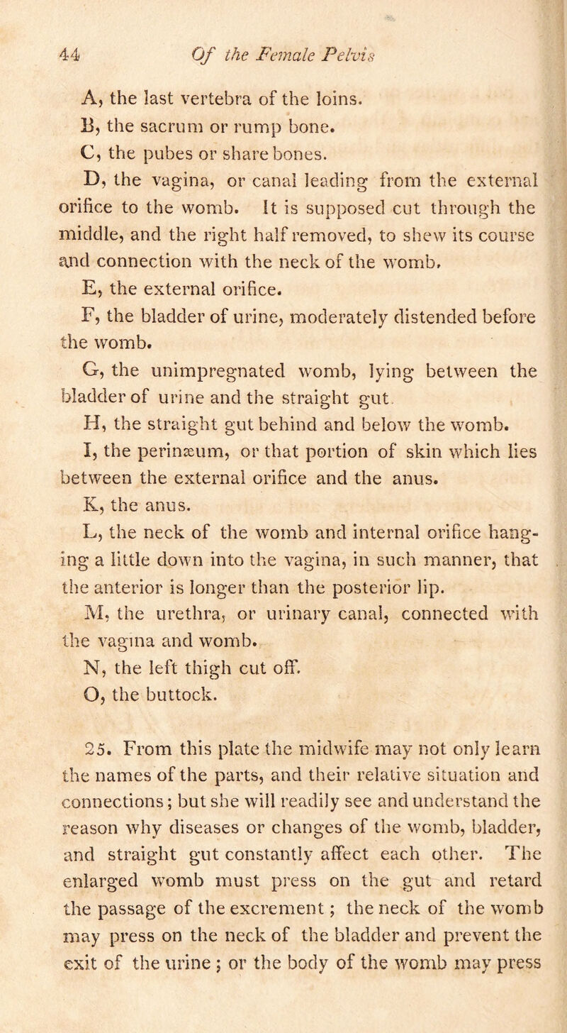 A, the last vertebra of the loins. li, the sacrum or rump bone. C, the pubes or share bones. D, the vagina, or canal leading from the external orifice to the womb. It is supposed cut through the middle, and the right half removed, to shew its course and connection with the neck of the womb. E, the external orifice. F, the bladder of urine, moderately distended before the womb. G, the unimpregnated womb, lying between the bladder of urine and the straight gut H, the straight gut behind and below the womb. I, the perinjeum, or that portion of skin which lies between the external orifice and the anus. K, the anus. L, the neck of the womb and internal orifice hang- ing a little down into the vagina, in such manner, that the anterior is longer than the posterior lip. M, the urethra, or urinary canal, connected with the vagina and womb. N, the left thigh cut off. O, the buttock. 25. From this plate the midwife may not only learn the names of the parts, and their relative situation and connections; but she will readily see and understand the reason why diseases or changes of the womb, bladder, and straight gut constantly affect each other. The enlarged womb must press on the gut and retard the passage of the excrement; the neck of the womb may press on the neck of the bladder and prevent the exit of the urine ; or the body of the womb may press