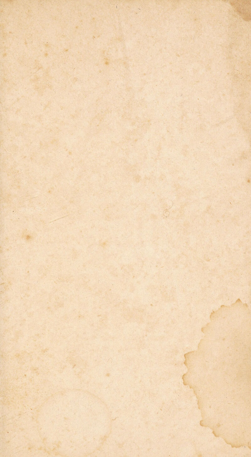 L \