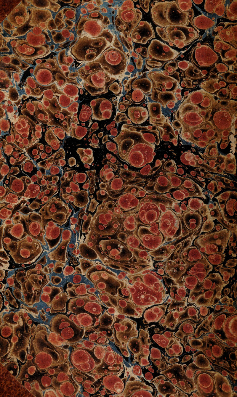 1^^ H r% 1 Z r •Sf 1 ^'4