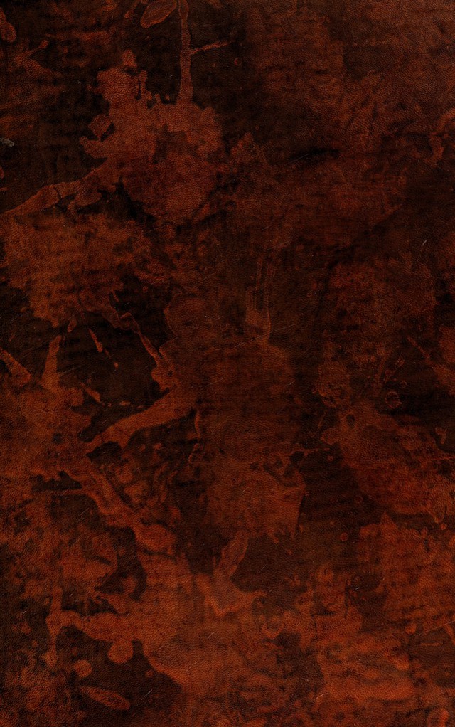 No text description is available for this image