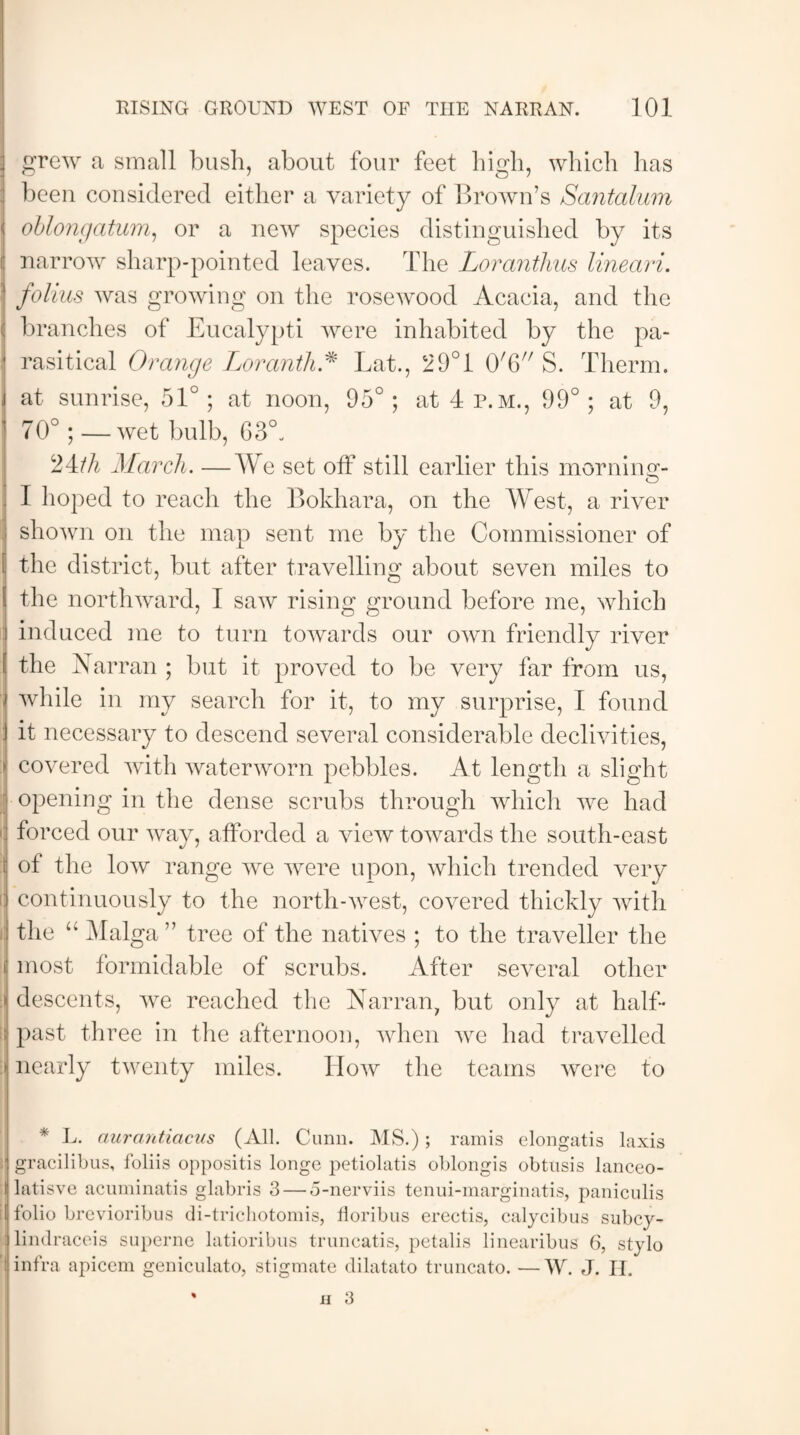 grew a small bush, about four feet high, which has been considered either a variety of Brown’s Santalum oblongatum, or a new species distinguished by its narrow sharp-pointed leaves. The Loranthus lineari. folias was growing on the rosewood Acacia, and the branches of Eucalypti were inhabited by the pa¬ rasitical Orange Loranth* Lat., 29°1 0'6 S. Therm, at sunrise, 51° ; at noon, 95° ; at 4 P.M., 99° ; at 9, 70°; — wet bulb, 63°. 24th March. W e set off still earlier this morning- I hoped to reach the Bokhara, on the West, a river shown on the map sent me by the Commissioner of the district, but after travelling about seven miles to the northward, I saw rising ground before me, which induced me to turn towards our own friendly river the Aarran ; but it proved to be very far from us, while in my search for it, to my surprise, I found it necessary to descend several considerable declivities, covered with waterworn pebbles. At length a slight ; opening in the dense scrubs through which we had : forced our way, afforded a view towards the south-east i of the low range we were upon, which trended very continuously to the north-west, covered thickly with the “ Malga ” tree of the natives ; to the traveller the most formidable of scrubs. After several other descents, we reached the Narran; but only at half¬ past three in the afternoon, when we had travelled i nearly twenty miles. How the teams were to * L. aurantiacus (All. Cunn. MS.); ramis elongatis laxis 1 gracilibus, foliis oppositis longc petiolatis oblongis obtusis lanceo- I latisve acuminatis glabris 3 — o-nerviis tenui-marginatis, paniculis I folio brevioribus di-trichotomis, floribus erectis, calycibus subcy- lindraceis superne latioribus truncatis, petalis linearibus 6, stylo infra apicem geniculato, stigmate dilatato truncato. —W. J. II. h 3