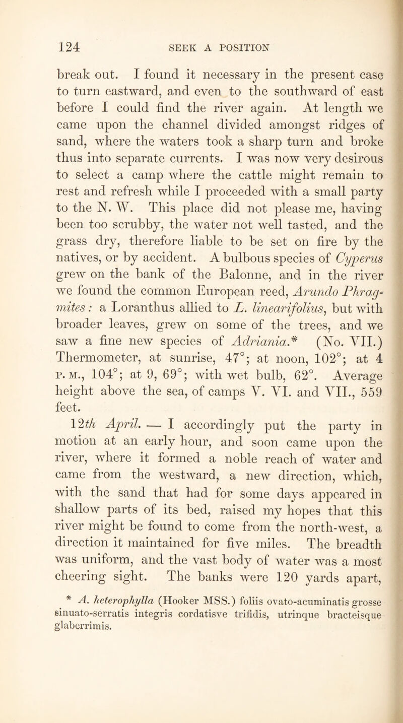 break out. I found it necessary in the present case to turn eastward, and even to the southward of east before I could find the river again. At length we came upon the channel divided amongst ridges of sand, where the waters took a sharp turn and broke thus into separate currents. I was now very desirous to select a camp where the cattle might remain to rest and refresh while I proceeded with a small party to the N. W. This place did not please me, having been too scrubby, the water not well tasted, and the grass dry, therefore liable to be set on fire by the natives, or by accident. A bulbous species of Cyperus grew on the bank of the Balonne, and in the river we found the common European reed, Arundo Phrag- mites: a Loranthus allied to L. lineaidfolius, but with broader leaves, grew on some of the trees, and we saw a fine new species of AdrianiaA (No. VII.) Thermometer, at sunrise, 47°; at noon, 102°; at 4 p.m., 104°; at 9, 69°; with wet bulb, 62°. Average height above the sea, of camps V. VI. and VII., 559 feet. 12th April. — I accordingly put the party in motion at an early hour, and soon came upon the river, where it formed a noble reach of water and came from the westward, a new direction, which, with the sand that had for some days appeared in shallow parts of its bed, raised my hopes that this river might be found to come from the north-west, a direction it maintained for five miles. The breadth was uniform, and the vast body of water was a most cheering sight. The banks were 120 yards apart, * A. heterophylla (Hooker MSS.) foliis ovato-acuminatis grosse sinuato-serratis integris cordatisve trifidis, utrinque bracteisque glaberrimis.