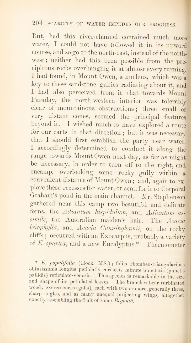 But, had this river-channel contained much more water, I could not have followed it in its upward course, and so go to the north- east, instead of the north¬ west; neither had this been possible from the pre¬ cipitous rocks overhanging it at almost every turning. I had found, in Mount Owen, a nucleus, which was a key to these sandstone gullies radiating about it, and I had also perceived from it that towards Mount Faraday, the north-western interior was tolerably clear of mountainous obstructions; three small or very distant cones, seemed the principal features beyond it. I wished much to have explored a route for our carts in that direction ; but it was necessary that I should first establish the party near water. I accordingly determined to conduct it along the range towards Mount Owen next day, as far as might be necessary, in order to turn off to the right, and encamp, overlooking some rocky gully within a convenient distance of Mount Owen ; and, again to ex¬ plore these recesses for water, or send for it to Corporal G rah am s pond in the main channel. Mr. Stephenson gathered near this camp two beautiful and delicate ferns, the A diant am hispidulum, and Adiantum as- simile, the Australian maiden’s hair. The Acacia ixiophylla, and Acacia Cunninghamii, on the rocky cliffs ; occurred with an Exocarpus, probably a variety oi A. spar tea, and a new Eucalyptus A Ihermoineter A. popidifolia (Hook. MS.) ; foliis rhombeo-triangularibus obtusissimis longius petiolatis coriaceis minute punctatis (punctis pallidis) 1 eticulato-venosis. Ibis species is remarkable in the size and shape ot its petiolated leaves. 1 lie branches bear turbinated v oody exci escences (galls), each with two or more, generally three, sharp angles, and as many unequal projecting wings, altogether exactly resembling the fruit of some Begonia.