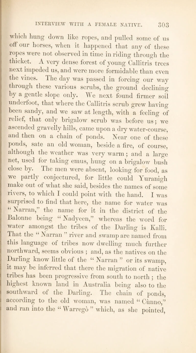 which hung down like ropes, and pulled some of us off our horses, when it happened that any of these ropes were not observed in time in riding through the thicket. A very dense forest of young Callitris trees next impeded us, and were more formidable than even the vines, ihe day was passed in forcing our way through these various scrubs, the ground declining by a gentle slope only. We next found firmer soil underfoot, that where the Callitris scrub grew having been sandy, and we saw at length, with a feeling of relief, that only brigalow scrub was before us; we ascended gravelly hills, came upon a dry water-course, and then on a chain of ponds. Near one of these ponds, sate an old woman, beside a fire, of course, although the weather was very warm ; and a large net, used for taking emus, hung on a brigalow bush close by. The men were absent, looking for food, as we partly conjectured, for little could Yuranigh make out of what she said, besides the names of some ii\eis, to which I could point with the hand. I was suiprised to find that here, the name for water was “ Yarran,” the name for it in the district of the Balonne being “ Yadyeen,” whereas the word for water amongst the tribes of the Darling is Ivalli. That the “ Yarran ” river and swamp are named from this language of tribes now dwelling much further northward, seems obvious ; and, as the natives on the Darling know little of the “ Yarran ” or its swamp, it may be inferred that there the migration of native tribes has been progressive from south to north ; the highest known land in Australia being also to the southward of the Darling. Ihe chain of ponds, according to the old woman, was named “ Cimno,” and ran into the “ Warrego ” which, as she pointed,