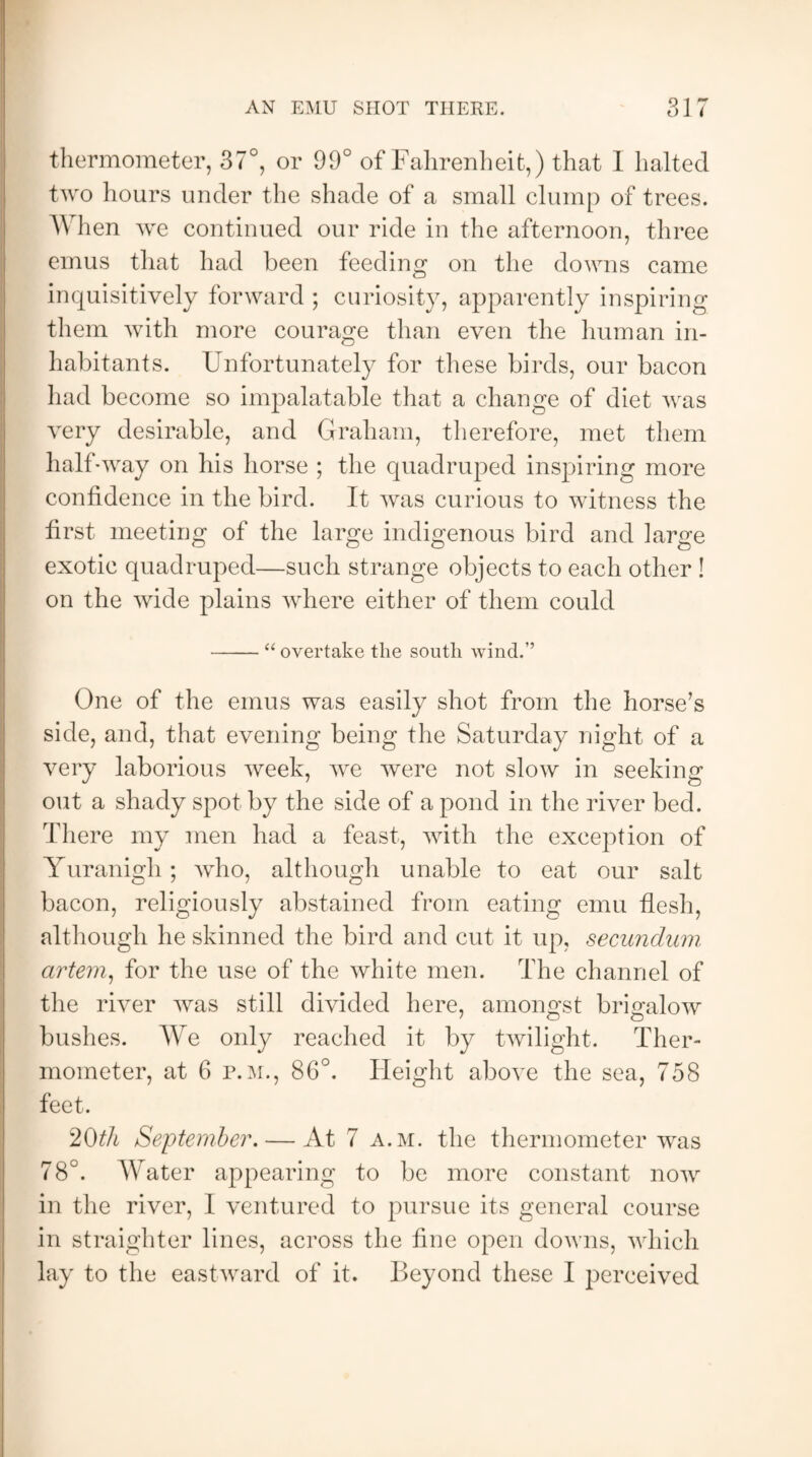 thermometer, 37°, or 99° of Fahrenheit,) that I halted two hours under the shade of a small clump of trees. When we continued our ride in the afternoon, three emus that had been feeding on the downs came inquisitively forward ; curiosity, apparently inspiring them with more courage than even the human in¬ habitants. Unfortunately for these birds, our bacon had become so unpalatable that a change of diet was very desirable, and Graham, therefore, met them half-way on his horse ; the quadruped inspiring more confidence in the bird. It was curious to witness the first meeting of the large indigenous bird and large exotic quadruped—such strange objects to each other ! on the wide plains where either of them could -“ overtake the south wind.” One of the emus was easily shot from the horse’s side, and, that evening being the Saturday night of a very laborious week, we were not slow in seeking out a shady spot by the side of a pond in the river bed. There my men had a feast, with the exception of Yuranigh; who, although unable to eat our salt bacon, religiously abstained from eating emu flesh, although he skinned the bird and cut it up, secundum artem, for the use of the white men. The channel of the river was still divided here, amongst brigalow bushes. We only reached it by twilight. Ther¬ mometer, at 6 p.m., 86°. Height above the sea, 758 feet. 20th September. — At 7 a.m. the thermometer was 78°. Water appearing to be more constant now in the river, I ventured to pursue its general course in straighter lines, across the fine open downs, which lay to the eastward of it. Beyond these I perceived
