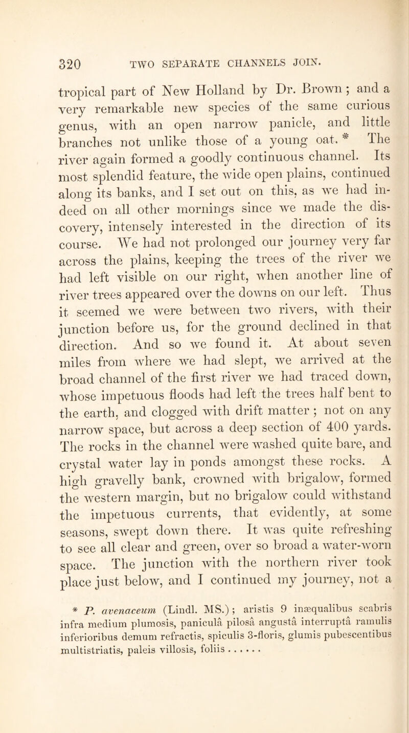 tropical part of New Holland by Dr. Brown ; and a very remarkable new species of the same curious genus, with an open narrow panicle, and little branches not unlike those of a young oat . * I he river again formed a goodly continuous channel. Its most splendid feature, the wide open plains, continued along its banks, and I set out on this, as we had in¬ deed on all other mornings since we made the dis¬ covery, intensely interested in the direction of its course. We had not prolonged our journey very far across the plains, keeping the trees of the river we had left visible on our right, when another line of river trees appeared over the downs on our left. Thus it seemed we were between two rivers, with their junction before us, for the ground declined in that direction. And so we found it. At about seven miles from where we had slept, we arrived at the broad channel of the first river we had traced down, whose impetuous floods had left the trees half bent to the earth, and clogged with drift matter ; not on any narrow space, but across a deep section of 400 yards. The rocks in the channel were washed quite bare, and crystal water lay in ponds amongst these rocks. A high gravelly bank, crowned with brigalow, formed the western margin, but no brigalow could withstand the impetuous currents, that evidently, at some seasons, swept down there. It was quite refreshing to see all clear and green, over so broad a water-worn space. The junction with the northern river took place just below, and I continued my journey, not a * P. avenaceum (Lindl. MS.) ; aristis 9 insequalibus scabris infra medium plumosis, panicula pilosa angusta interrupt^ ramulis inferioribus demum refractis, spiculis 3-floris, glumis pubescentibus multistriatis, paleis villosis, ioliis.