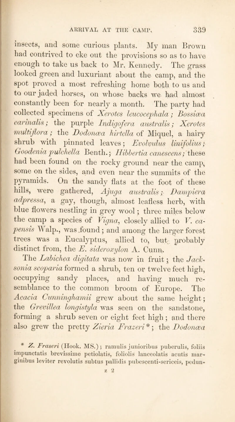 insects, and some curious plants. My man Brown bad contrived to eke out the provisions so as to have enough to take us back to Mr. Kennedy. The grass looked green and luxuriant about the camp, and the spot proved a most refreshing home both to us and to our jaded horses, on whose backs we had almost constantly been for nearly a month. The party had collected specimens of Xerotes leucocephala; Bossicea carinalis; the purple Indig of era australis; Xerotes multiflora; the Do donee a hirtella of Miquel, a hairy shrub with pinnated leaves; Evolvulus linifolius; Goodenia pulchella Benth.; Hibbertia canescens; these had been found on the rocky ground near the camp, some on the sides, and even near the summits of the pyramids. On the sandy flats at the foot of these hills, were gathered, Ajuga australis; D ampler ck adpressay a gay, though, almost leafless herb, with blue flowers nestling in grey wool; three miles below the camp a species of Vigna, closely allied to V. ca- pensis TV alp., was Tound; and among the larger forest trees was a Eucalyptus, allied to, but , probably distinct from, the E. sideroxylon A. Cunn. The Lablchea digitata was now in fruit \ the Jacb sonia scopama formed a shrub, ten or twelve feet high, occupying sandy places, and having much re¬ semblance to the common broom of Europe. The Acacia Cunninghamii grew about the same height; the Gremllea longlstyla was seen on the sandstone, forming a shrub seven or eight feet high; and there also grew the pretty Zieria Frazeri*; the Dodonoea * Z. Fraseri (Ilook. MS,); ramulis junioribus puberulis, foliis impunctatis brevissime petiolatis, foliolis lanceolatis acutis mar- ginibus leviter revolutis subtus pallidis pubescenti-sericeis, pedun- z 2