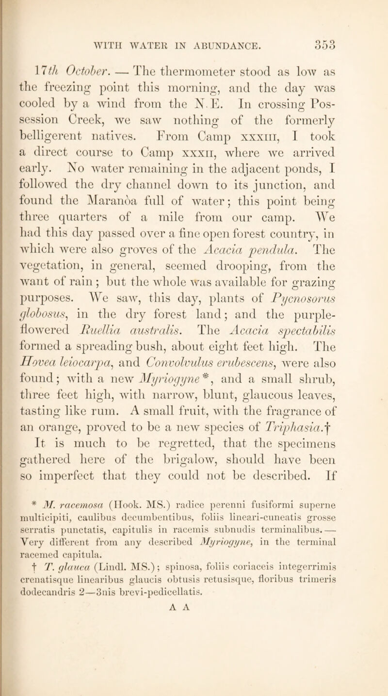 WITH WATER IN ABUNDANCE. 17th October. — The thermometer stood as low as the freezing point this morning, and the day was cooled by a wind from the X E. In crossing Pos¬ session Creek, we saw nothing of the formerly belligerent natives. From Camp xxxm, I took a direct course to Camp xxxn, where we arrived early. Xo water remaining in the adjacent ponds, I followed the dry channel down to its junction, and found the Maranoa full of water; this point being three quarters of a mile from our camp. AVe had this day passed over a tine open forest country, in which were also groves of the Acacia pendula. The vegetation, in general, seemed drooping, from the want of rain ; but the whole was available for grazing purposes. AVe saw, this day, plants of Pycnosorus globosus, in the dry forest land; and the purple- flowered Puellia australis. The Acacia spectabilis formed a spreading bush, about eight feet high. The Hovea leiocarpa, and Convolvulus erubescens, were also found; with a new Myriogyne*, and a small shrub, three feet high, with narrow, blunt, glaucous leaves, tasting like rum. A small fruit, with the fragrance of an orange, proved to be a new species of Triphasia. f It is much to be regretted, that the specimens gathered here of the brigalow, should have been so imperfect that they could not be described. If * M. racemosa (Ilook. MS.) radice perenni fusiformi superne multicipiti, caulibus decumbentibus, foliis lineari-cuneatis grosse serratis punctatis, capitulis in racemis subnudis terminalibus.— Very different from any described Myriogyne, in the terminal racemed capitula. t T. glciuca (Lindl. MS.); spinosa, foliis coriaceis integerrimis crenatisque linearibus glaucis obtusis retusisque, floribus trimeris dodecandris 2—3nis brevi-pedicellatis. A A