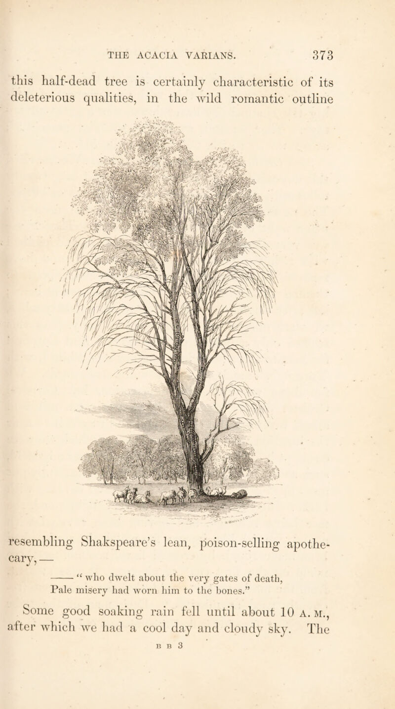 this half-dead tree is certainly characteristic of its deleterious qualities, in the wild romantic outline resembling Shakspeare’s lean, poison-selling apothe- cary, — -“ who dwelt about the very gates of death, Pale misery had worn him to the bones.” Some good soaking rain fell until about 10 a. m., after which we had a cool day and cloudy sky. The n n 3