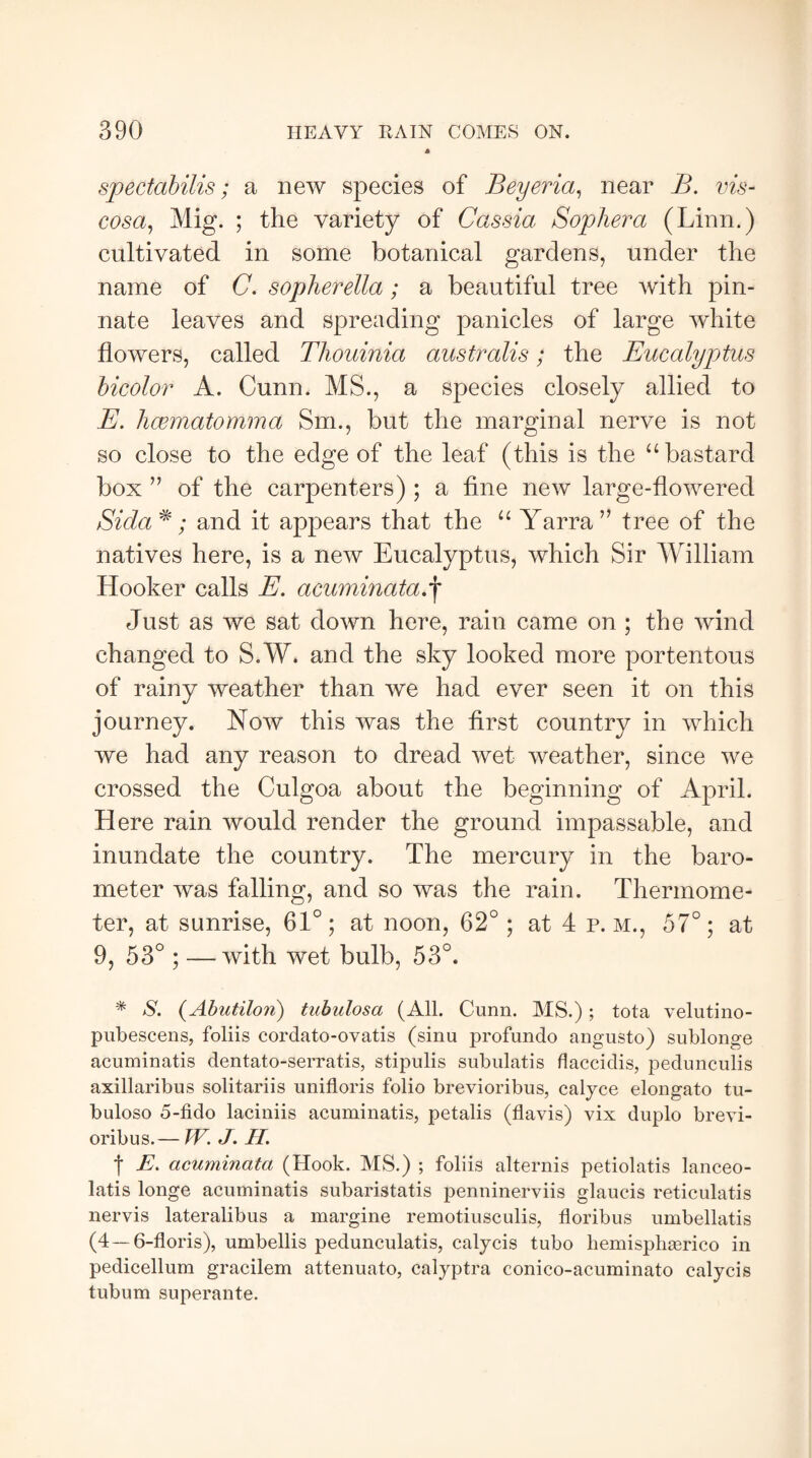 * spectabilis; a new species of Beyeria, near B. vis- cosa, Mig. ; the variety of Cassia Sophera (Linn.) cultivated in some botanical gardens, under the name of C. sopherella; a beautiful tree with pin¬ nate leaves and spreading panicles of large white flowers, called Thouinia australis; the Eucalyptus bicolor A. Cunn. MS., a species closely allied to E. hcematomma Sm., but the marginal nerve is not so close to the edge of the leaf (this is the “bastard box ” of the carpenters) ; a fine new large-flowered Sida*; and it appears that the “ Yarra” tree of the natives here, is a new Eucalyptus, which Sir William Hooker calls E. acuminata.*j* Just as we sat down here, rain came on ; the wind changed to S.W. and the sky looked more portentous of rainy weather than we had ever seen it on this journey. Now this was the first country in which we had any reason to dread wet weather, since we crossed the Culgoa about the beginning of April. Here rain would render the ground impassable, and inundate the country. The mercury in the baro¬ meter was falling, and so was the rain. Thermome¬ ter, at sunrise, 61°; at noon, 62°; at 4 p. m., 57°; at 9, 53°; —with wet bulb, 53°. * S. (Abutilon) tuhulosa (All. Cunn. MS.); tota velutino- pubescens, foliis cordato-ovatis (sinu profundo angusto) sublonge acuminatis dentato-serratis, stipulis subulatis flaccidis, pedunculis axillaribus solitariis unifloris folio brevioribus, calyce elongato tu- buloso 5-fido laciniis acuminatis, petalis (flavis) vix duplo brevi¬ oribus.— W. J. H. t E* acuminata (Hook. MS.) ; foliis alternis petiolatis lanceo- latis longe acuminatis subaristatis penninerviis glaucis reticulatis nervis lateralibus a margine remotiusculis, floribus umbellatis (4 —6-floris), umbellis pedunculatis, calycis tubo hemisphasrico in pedicellum gracilem attenuato, calyptra conico-acuminato calycis tubum superante.