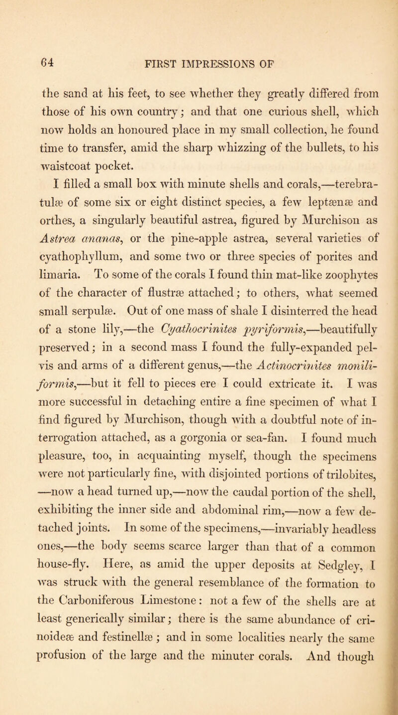 the sand at his feet, to see whether they greatly differed from those of his own country; and that one curious shell, which now holds an honoured place in my small collection, he found time to transfer, amid the sharp whizzing of the bullets, to his waistcoat pocket. I filled a small box with minute shells and corals,—terehra- tula3 of some six or eight distinct species, a few leptsenaB and orthes, a singularly beautiful astrea, figured by Murchison as Astrea ananas^ or the pine-apple astrea, several varieties of cyathophyllum, and some two or three species of porites and limaria. To some of the corals I found thin mat-like zoophytes of the character of flustra9 attached; to others, what seemed small serpulee. Out of one mass of shale I disinterred the head of a stone lily,—the Cyathocrinites pyriforonis^—beautifully preserved; in a second mass I found the fully-expanded pel¬ vis and arms of a different genus,—the Actinocrmites monili¬ formis^—hut it fell to pieces ere I could extricate it. I was more successful in detaching entire a fine specimen of what I find figured by Murchison, though with a doubtful note of in- ten’ogation attached, as a gorgonia or sea-fan. I found much pleasure, too, in acquainting myself, though the specimens were not particularly fine, with disjointed portions of trilobites, —now a head turned up,—now the caudal portion of the shell, exhibiting the inner side and abdominal rim,—now a few^ de¬ tached joints. In some of the specimens,—invariably headless ones,—the body seems scarce larger than that of a common house-fly. Here, as amid the upper deposits at Sedgley, I was struck with the general resemblance of the formation to the Carboniferous Limestone: not a few of the shells are at least generically similar; there is the same abundance of cri- noideae and festinellae ; and in some localities nearly the same profusion of the large and the minuter corals. And though