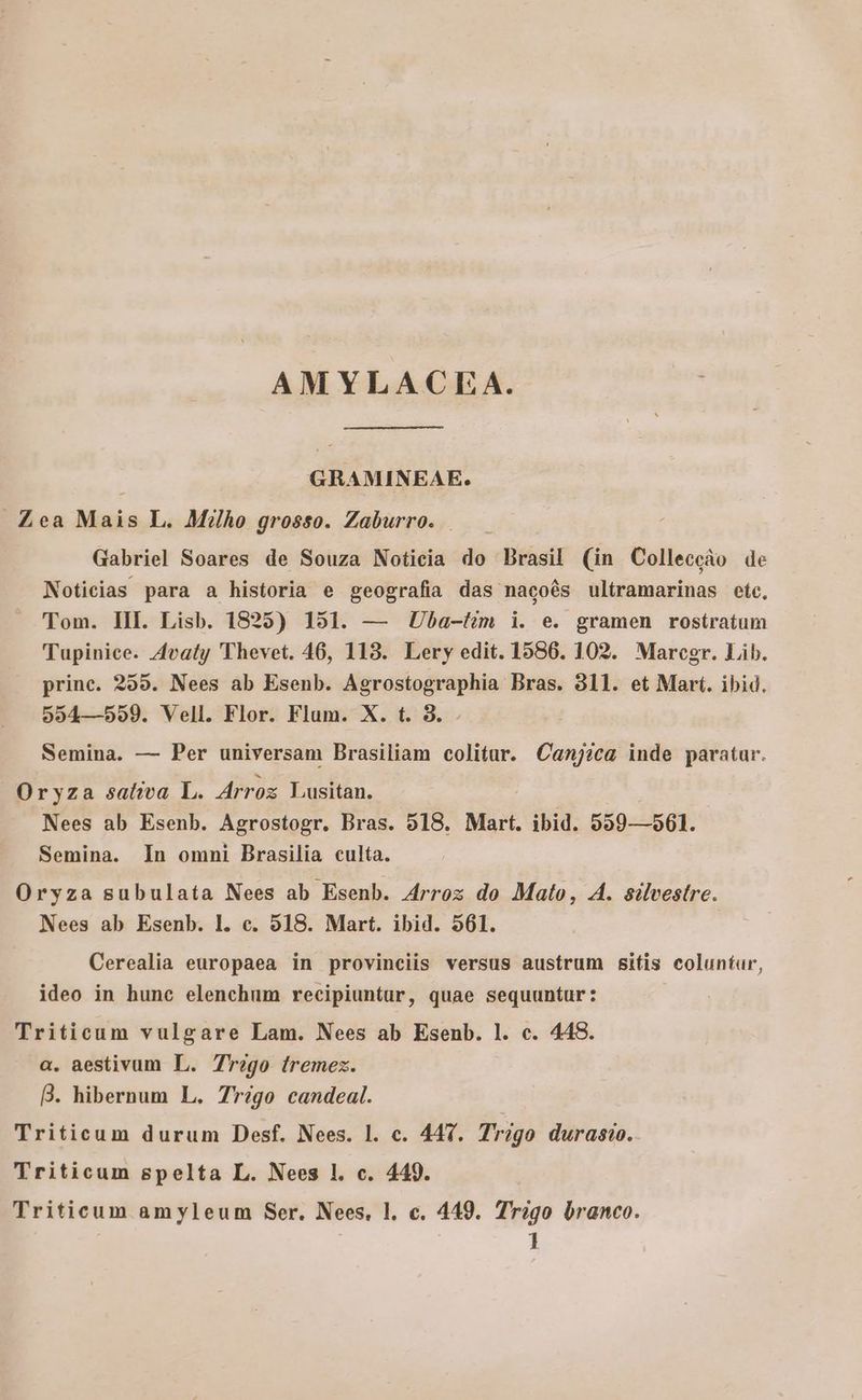 AMYLACEA. GRAMINEAE. Zea Mais L. Mi/ho grosso. Zaburro. Gabriel Soares de Souza Noticia do Brasil (in Colleccào de Noticias para a historia e geografia das nacoés ultramarinas ete, Tom. HI. Lisb. 1825) 151. — Uba-tzm i. e. gramen rostratum Tupinice. 4vafy 'Thevet. 46, 113. Lery edit. 1586. 102. Marcegr. Lib. princ. 255. Nees ab Esenb. Agrostographia Bras. 911. et Mart. ibid. 554—599. Vell. Flor. Flum. X. t. 3. Semina. — Per universam Brasiliam colitur. Canj?ca inde paratur. Oryza sattva L. Arroz Lusitan. Nees ab Esenb. Agrostogr. Bras. 518. Mart. ibid. 559—561. Semina. In omni Brasilia culta. Oryza subulata Nees ab Esenb. Arroz do Malo, A. silvestre. Nees ab Esenb. l. c. 518. Mart. ibid. 561. Cerealia europaea in provinciis versus austrum sitis coluníur, ideo in hune elenchum recipiuntur, quae sequuntur: Triticum vulgare Lam. Nees ab Esenb. 1l. c. 448. a. aestivum L. 7rego ítremez. B. hibernum L. 7r?go candeal. Triticum durum Desf. Nees. l. c. 447. Trzgo duras. Triticum spelta L. Nees 1l. c. 449. Triticum amyleum Ser. Nees. l. c. 449. Trigo branco. ]