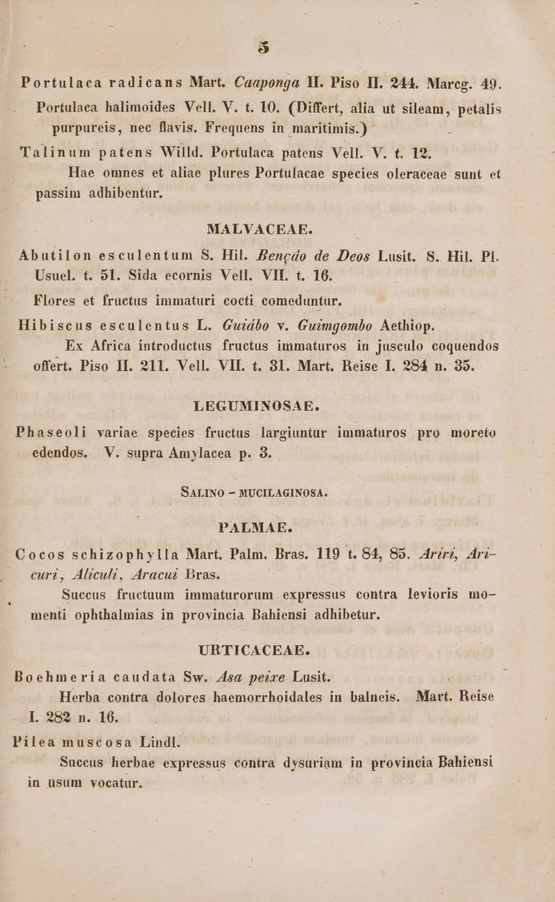 Portulaca radicans Mart. Caaponga Y. Piso II. 244. Mareg. 49. Portulaca halimoides Vell. V. t. 10. (Differt, alia ut sileam, petalis purpureis, nec flavis. Frequens in maritimis.) | Talinum patens Willd. Portulaca patens Vell. V. t. 19. Hae omnes et aliae plures Portulacae species oleraceae sunt et passim adhibentur. MALVACEAE. | Abutilon esculentum S. Hil. Bencdo de Deos Lusit. S. Hil. PI. Usuel. t. 531. Sida ecornis Vell. VII. t. 16. Flores et fructus immatur1 cocti comeduntur. Hibiscus esculentus L. Guedbo v. Guimgombo Aethiop..- ' Ex Africa introductus fructus immaturos in jusculo coquendos offert. Piso II. 211. Vell. VIL. t. 31. Mart. Reise I. 284 n. 35. LEGUMINOSAE. Phaseoli variae species fructus largiuntur immaturos pro moreto edendos. V. supra Amylacea p. 3. | SALINO - MUCILAGINOSA. PALMAE. Cocos schizophylla Mart. Palm. Bras. 119 t. 84, 85. Aréri, Ári- curi, Aliculi, Aracus Bras. Suecus fructuum immaturorum expressus contra levioris mo- menti ophthalmias in provincia Bahiensi adhibetur. URTICACEAE. Boehmeria caudata Sw. 4sa peixe Lusit. ; Herba contra dolores haemorrhoidales in balneis. Mart. Reise I. 282, n. 16. Pilea muscosa Lindl. Suecus herbae expressus contra dysuriam in provincia Bahiensi in üsum vocatur. -