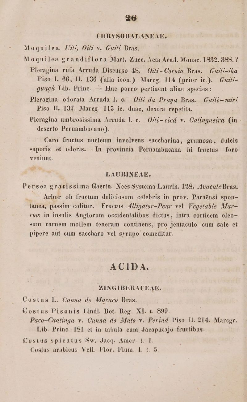 CHRYSOBALANEAE. Moquilea. U?tz Oif v. Gwuiti Bras. Moquilea grandiflora Mart. Zucc. Aeta Acad. Monac. 1832. 388. ? Pleragina rufa Arruda Discurso 48. O/f-Coroia Bras. Guiti-iba Piso I. 66, II. 136 (alia icon.) Mareg. 114 (prior ie.). Guii- guagci Lib. Prine. — Huc porro pertinent aliae species: Pleragina odorata Arruda l. c. Of da Praya Bras. | Guifi - miri Piso II, 13v. Mareg. 115 ic. duae, dextra repetita. Pleragina umbrosissima Arruda l. c. Odi cicá v. Catingueira (in - deserto Pernambucano ). Caro fructus nucleum involvens saccharina, grumosa, dulcis saporis et odoris. .In provincia Pernambucana hi fructus foro veniunt. LAURINEAE. Persea gratissima Gaertn. Nees Systema Laurin. 128. Avacale Bras. N .  Arbor ob fructum deliciosum celebris in prov. Paraénsi spon- tanea, passim colitur. Fructus A/lzgator-Pear vel Vegetable Mar- row in insulis Anglorum occidentalibus dictus, intra corticem oleo- sum carnem mollem teneram continens, pro jentaculo cum sale et pipere aut eum saecharo vel syrupo comeditur. À CID A. ZINGIBERACEAE. Costus L. Canna de Macaco Bras. Costus Pisonis Lindl. Bot. Reg. XI. t. 899. Paco-Caatinga v. Canna do Malo v. Perind Viso U. 214. Marcgr. Lib. Prince. 181 et in tabula cum Jacapucajo fructibus. Costus spicatus Sw. Jacq. Amer. t. f. Cosíus arabicus Vell. Flor. Flum. I. t. 5.