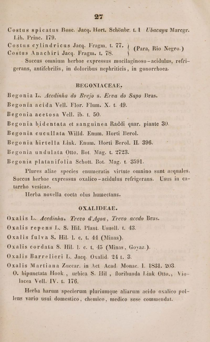 247 Costus spicatus Rose. Jaeq. Hort. Schünbr. t. 1 Ubacaya Marcgr. Lib. Princ. 149. | Costus cylindricus Jacq. Fragm. t. 1f. i (Para, Rio Negro.) Costus Anachiri Jacq. Fragm. t. 18. | . Succus omnium herbae expressus mucilaginoso —-acidulus, refri- gerans, antifebrilis, in doloribus nephriticis, in gonorrhoea. BEGONIACEAF. Begonia L. 4cedinha do Brejo s. Erva do Sapo Bras. Begonia acida Vell. Flor. Flum. X. t. 49. Degonia acetosa Vell. ib. t. 50. ; Begonia bidentata et sanguinea Raddi quar. piante 30. Begonia eucullata Willd. Enum. Horti Berol. Begonia hirtella Link. Enum. Horti Berol. II. 396. Begonia undulata Otto. Bot. Mag. t. 2123. | Degonia platanifolia Schott. Dot. Mag. t.-9591. Plures aliae species enumeratis virtute omnino sunt aequales. Suecus herbae expressus oxalico -acidulus refrigerans. Usus in ca- tarrho vesicae. adioen Herba novella cocta olus humectans. ; OXALIDEAE. Oxalis L. 4cedinhas Trevo d'Agoa, Trevo accedo Bras. Oxalis repens L. S. Hil. Plant. Usuell. t. 43. Oxalis fulva S. Hill. c. t. 44 (Minas). Oxalis cordata S. Hil. l. c. t. 45 (Minas, Goyaz.). Oxalis Barrelieri L. Jacq. Oxalid. 24 t. 3. Oxalis Martiana Zuecar. in Act. Acad. Monac. 1. 1831. 203. O. bipunetata Hook., urbica S. Hil , floribunda Link Oíto,, Vio- lacea Vell. IV. t. 116. Herba harum specierum pluriumque aliarum acido oxalieo pol- lens vario usui domestico, chemico, medico sese commendat.