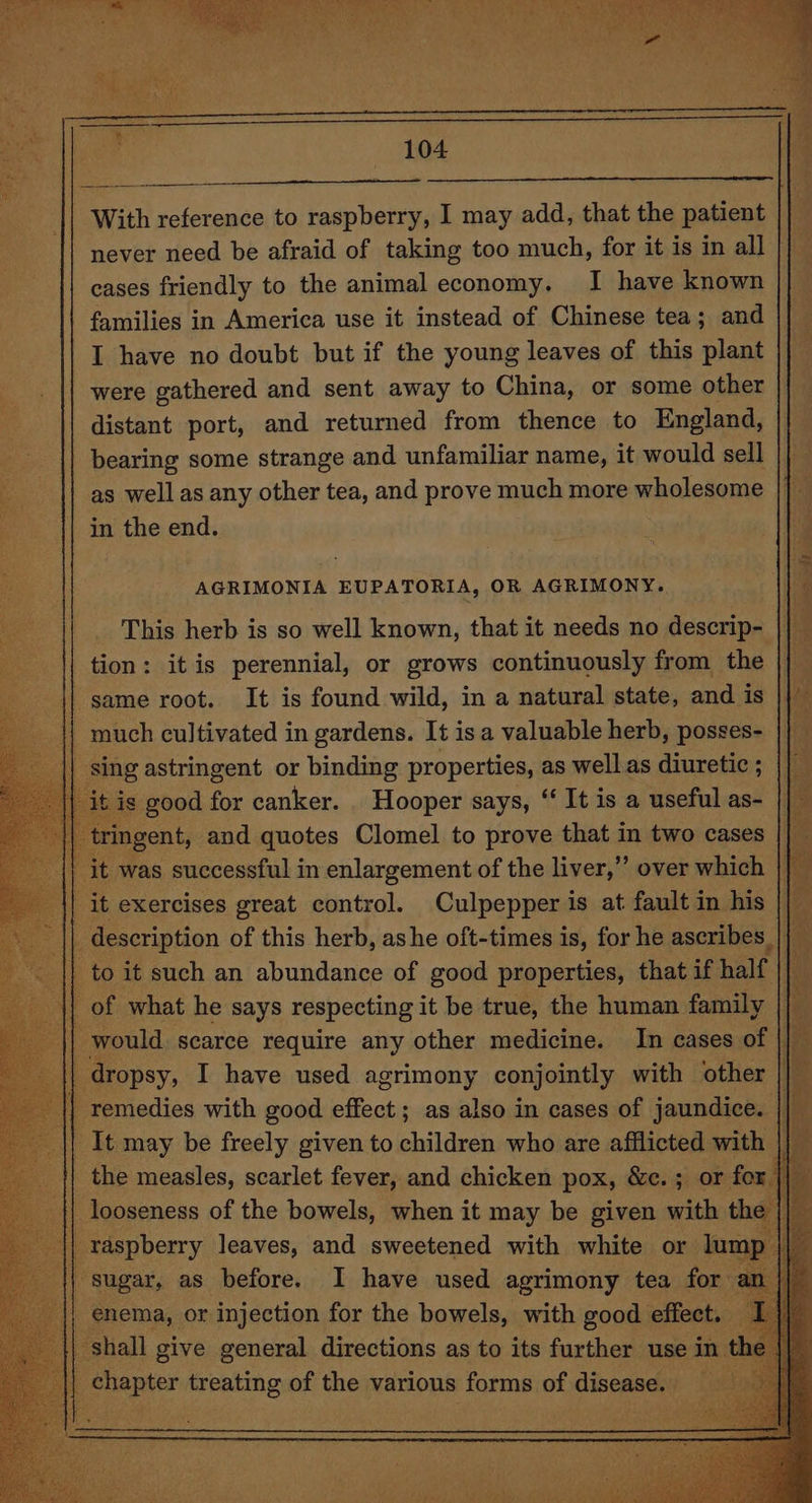 ee anEEEEEENE With reference to raspberry, I may add, that the patient never need be afraid of taking too much, for it is in all cases friendly to the animal economy. I have known families in America use it instead of Chinese tea; and I have no doubt but if the young leaves of this plant were gathered and sent away to China, or some other distant port, and returned from thence to England, bearing some strange and unfamiliar name, it would sell as well as any other tea, and prove much more wholesome in the end. AGRIMONIA EUPATORIA, OR AGRIMONY. This herb is so well known, that it needs no descrip- tion: itis perennial, or grows continuously from the _ || same root. It is found wild, in a natural state, and is - much cultivated in gardens. It is a valuable herb, posses- ae astringent or binding properties, as well as diuretic ; is good for canker. Hooper says, “‘ It is a useful as- tringent, and quotes Clomel to prove that in two cases it was successful i in enlargement of the liver,’’ over which it exercises great control. Culpepper is at fault in his description of this herb, ashe oft-times is, for he ascribes_ - to it such an abundance of good properties, that if half : of what he says respecting it be true, the human family | would scarce require any other medicine. In cases of | dropsy, I have used agrimony conjointly with other || remedies with good effect; as also in cases of jaundice. It may be freely given to children who are afflicted with I} the measles, scarlet fever, and chicken pox, &amp;c.; or for looseness of the bowels, when it may be given with the | raspberry leaves, and sweetened with white or lump | Sugar, as” betore. shall give cae! directions as to its faxshons use in. the chapter treating 25 the various forms of chee )