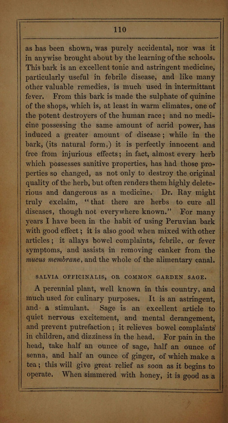 as has been shown, was purely accidental, nor was it ||. in anywise brought about by the learning of the schools. This bark is an excellent tonic and astringent medicine, particularly useful in febrile disease, and like many | other valuable remedies, is much used in intermittant fever. From this bark is made the sulphate of quinine | of the shops, which is, at least in warm climates, one of the potent destroyers of the human race; and no medi- cine possessing the same amount of acrid power, has || induced a greater amount of disease; while in the bark, (its natural form,) it is perfectly innocent and free from injurious effects; in fact, almost every herb which possesses sanitive properties, has had those pro- perties so changed, as not only to destroy the original || quality of the herb, but often renders them highly delete- ‘|| rious and dangerous as a medicine. Dr. Ray might truly exclaim, “that there are herbs to cure all | diseases, though not everywhere known.” For many years I have been in the habit of using Peruvian bark | with good effect; it is also good when mixed with other || | articles; it allays bowel complaints, febrile, or fever || symptoms, and assists in removing canker from the mucus membrane, and the whole of the alimentary canal. SALVIA OFFICINALIS, OR COMMON GARDEN SAGE. A perennial plant, well known in this country, and |} much used for culinary purposes. It is an astringent, | \| and- a stimulant. Sage is an excellent article to | || Quiet nervous excitement, and mental derangement, and prevent putrefaction ; it relieves bowel complaints’ || in children, and dizziness in the head. For pain in the | || head, take half an ounce of sage, half an ounce of || || senna, and half an ounce of ginger, of which make a ||_ ee | | teas this will wae ee relief as soon as it ees a to
