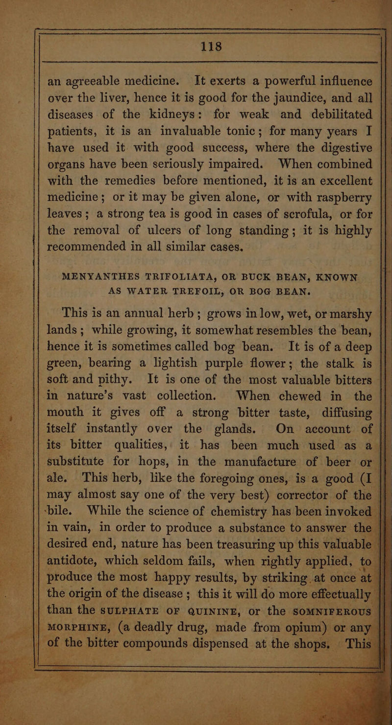an agreeable medicine. It exerts a powerful influence | | over the liver, hence it is good for the jaundice, and all || diseases of the kidneys: for weak and debilitated patients, it is an invaluable tonic; for many years I have used it. with good success, where the digestive organs have been seriously impaired. When combined with the remedies before mentioned, it is an excellent || medicine; or it may be given alone, or with raspberry leaves; a strong tea is good in cases of scrofula, or for || the removal of ulcers of long standing; it is highly |} recommended in all similar cases, MENYANTHES TRIFOLIATA, OR BUCK BEAN, KNOWN AS WATER TREFOIL, OR BOG BEAN. This is an annual herb; grows in low, wet, or marshy lands ; while growing, it somewhat resembles the bean, hence it is sometimes called bog bean. It is of a deep | green, bearing a lightish purple flower; the stalk is soft and pithy. It is one of the most valuable bitters || | in nature’s vast collection. When chewed in the |} mouth it gives off a strong bitter taste, diffusing | itself instantly over the glands. On account of || its bitter qualities, it has been much used as a || A ih ae A ata a is RE a Te a substitute for hops, in the manufacture of beer or i | ale. This herb, like the foregoing ones, is a good (I a may almost say one of the very best) corrector of the || bile. While the science of chemistry has been invoke in vain, in order to produce a substance to answer th || desired end, nature has been treasuring up this valuable awa antidote, which seldom fails, when rightly applied, to Pa produce the most happy results, by striking at once a | the origin of the disease ; this it will do more effectuall || than the suULPHATE OF QUININE, or the SOMNIFEROU: | MORPHINE, (a deadly drug, made from opium) or an f of ae bitter tates aitcnsed at the shops. Thi