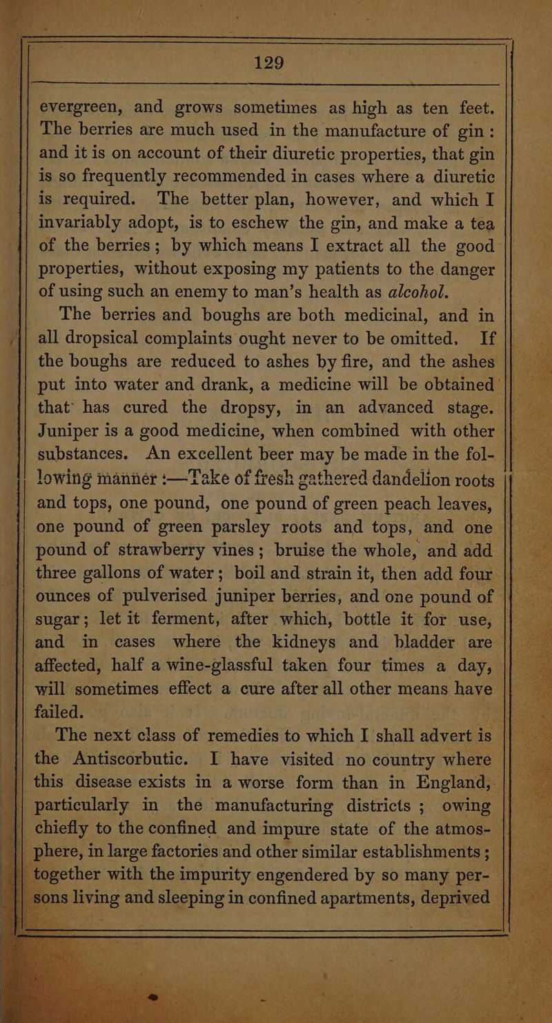 PR a oT evergreen, and grows sometimes as high as ten feet. and it is on account of their diuretic properties, that gin is so frequently recommended in cases where a diuretic is required. ‘The better plan, however, and which I invariably adopt, is to eschew the gin, and make a tea of the berries; by which means I extract all the good: properties, without exposing my patients to the danger of using such an enemy to man’s health as alcohol. The berries and boughs are both medicinal, and in all dropsical complaints ought never to be omitted, If || _ the boughs are reduced to ashes by fire, and the ashes || put into water and drank, a medicine will be obtained’ that’ has cured the dropsy, in an advanced stage. Juniper is a good medicine, when combined with other || substances. An excellent beer may be made in the fol- |} lowing manner :—Take of fresh gathered dandelion roots and tops, one pound, one Bond of green peach leaves, || — one pound of green parsley roots and tops, and one || pound of strawberry vines; bruise the whole, and add || three gallons of water ; boil and strain it, then add four ounces of pulverised juniper berries, and one pound of sugar; let it ferment, after which, bottle it for use, | and in cases where the kidneys and bladder are | affected, half a wine-glassful taken four times a day, | will sometimes effect a cure after all other means have || failed. es: The next class of remedies to which I shall advert is . the Antiscorbutic. I have visited no country where || this disease exists in a worse form than in England, | particularly in the manufacturing districts ; owing