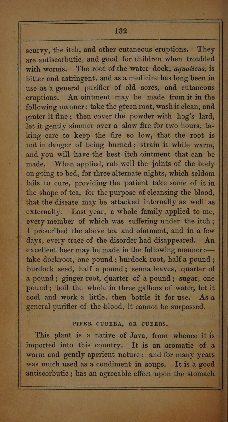 scurvy, the itch, and other cutaneous eruptions. They are antiscorbutic, and good for children when troubled with worms. The root of the water dock, aquaticus, is bitter and astringent, and as a medicine has long been in use as a general purifier of old sores, and cutaneous é eruptions. An ointment may be made from it in the following manner: take the gteen root, wash it clean, and grater it fine; then cover the powder with hog’s lard, || let it gently simmer over a slow fire for two hours, ta- F king care to keep the fire so low, that the root is ae not in danger of being burned; strain it while warm, and you will have the best itch ointment that can be made. When applied, rub well the joints of the body on going to bed, for three alternate nights, which seldom fails to cure, providing the patient take some of it in the shape of tea, for the purpose of cleansing the blood, that the disease may be attacked internally as well as externally. Last year, a whole family applied to me, every member of which was suffering under the itch ; I prescribed the above tea and ointment, and in a few || days, every trace of the disorder had disappeared. An |} excellent beer may be made in the following manner :-— take dockroot, one pound ; burdock root, halfa pound; burdock seed, half a pound; senna leaves, quarter of a pound; ginger root, quarter of a pound; sugar, one pound; boil the whole in three gallons of water, let it cool and work a little, then bottle it foruse. Asa | general purifier of the blood, it cannot be surpassed. — PIPER CUBEBA, OR CUBEBS. This plant is a native of Java, from whence it is a imported into this country. It is an aromatic of a_ | warm and gently aperient nature ; and for many years was much used as a condiment in soups. It isa goo ~ antiscorbutic ; has an agreeable effect upon the ste