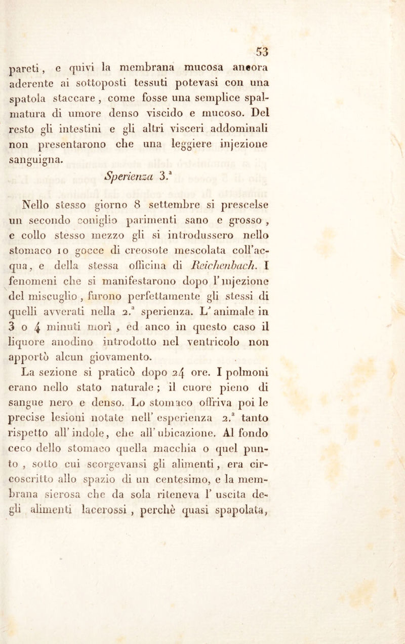 pareti, e quivi l«a membrana mucosa ancora aderente ai sottoposti tessuti potevasi con una spatola staccare , come fosse una semplice spal- matura di umore denso viscido e mucoso. Del resto gli intestini e gli altri visceri addominali non presentarono che una leggiere injezione sanguigna. Sperienza 3.a Nello stesso giorno 8 settembre si prescelse un secondo coniglio parimenti sano e grosso , e collo stesso mezzo gli si introdussero nello stomaco io gocce di creosote mescolata coll’ac- qua, e della stessa officina di Reichenbach. I fenomeni che si manifestarono dopo rmjezione del miscuglio , furono perfettamente gli stessi di quelli avverati nella a.' sperienza. L/ animale in 3 o 4 minuti morì ,, ed anco in questo caso il liquore anodino introdotto nel ventricolo non apportò alcun giovamento. La sezione si praticò dopo ore. I polmoni erano nello stato naturale ; il cuore pieno di sangue nero e denso. Lo stomaco offriva poi le precise lesioni notate nell’ esperienza tanto rispetto all5 indole, che all ubicazione. Al fondo ceco dello stomaco quella macchia o quel pun- to , sotto cui scorgevansi gli alimenti, era cir- coscritto allo spazio di un centesimo, e la mem- brana sierosa che da sola riteneva f uscita de- gli alimenti lacerassi , perchè quasi spopolata,