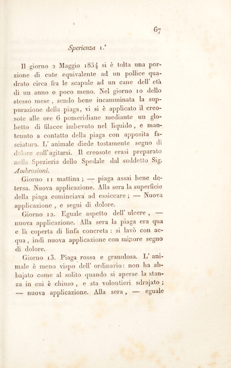 Il giorno 2 Maggio 1834 si è tolta una por- zione di cute equivalente ad un pollice qua- drato circa fra le scapule ad un cane dell’ età di un anno o poco meno. Nel giorno io dello stesso mese , sendo bene incamminata la sup- purazione delia piaga, vi si e applicato il creo- soto alle ore 6 pomeridiane mediante un glo- betto di filacce imbevuto nel liquido , e man- tenuto a contatto della piaga con apposita fa- sciatura. L animale diede tostamente segno di dolore colf agitarsi. Il creosote erasi preparato nella Spezieria dello Spedale dal suddetto Sig. Ambrosiani. Giorno 11 mattina ; — piaga assai bene de- tersa. Nuova applicazione. Alla sera la superucie della piaga cominciava ad essiccare ; — Nuova applicazione , e segni di dolore. Giorno 12. Eguale aspetto dell ulcere , nuova applicazione. Alla sera la piaga era qua e là coperta di linfa concreta : si lavò con ac- qua , indi nuova applicazione con minore segno di dolore. Giorno i3. Piaga rossa e granulosa. L ani- male è meno vispo dell’ ordinario : non ha ab- bajato come al solito quando si aperse la stan- za in cui è chiuso , e sta volontieri sdrajato ; — nuova applicazione. Alla sera , — eguale