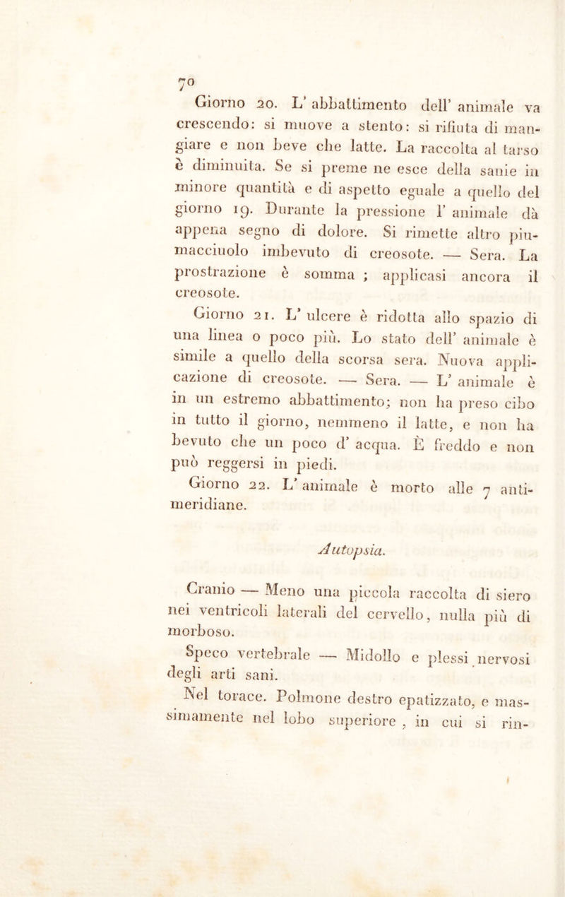 crescendo, si muove a stento : si rifiuta di man- giale e non beve che latte. La raccolta a! tarso e diminuita. Se si preme ne esce della sanie in minore quantità e di aspetto eguale a quello del giorno 19. Durante la pressione 1’ animale dà appena segno di dolore. Si rimette altro piu- macciuolo imbevuto di creosote. — Sera. La prostrazione e somma ; applicasi ancora il creosote. Giorno 21. L ulcere è ridotta allo spazio di una linea o poco più. Lo stato dell’ animale è simile a quello della scorsa sera. Nuova appli- cazione di creosote. — Sera. — L5 animale è in un estremo abbattimento; non ha preso cibo in tutto il giorno, nemmeno il latte, e non ha bevuto che un poco d’ acqua. È freddo e non può reggersi in piedi. Giorno 22. L animale e morto alle y anti- meridiane. A utopsia. Cranio — Meno una piccola raccolta di siero nei ventricoli laterali del cervello, nulla più di morboso. Speco vertebrale — Midollo e plessi nervosi degli arti sani. iNcl torace. Polmone destro epatizzato, e mas- simamente nel lobo superiore , in cui si rin-