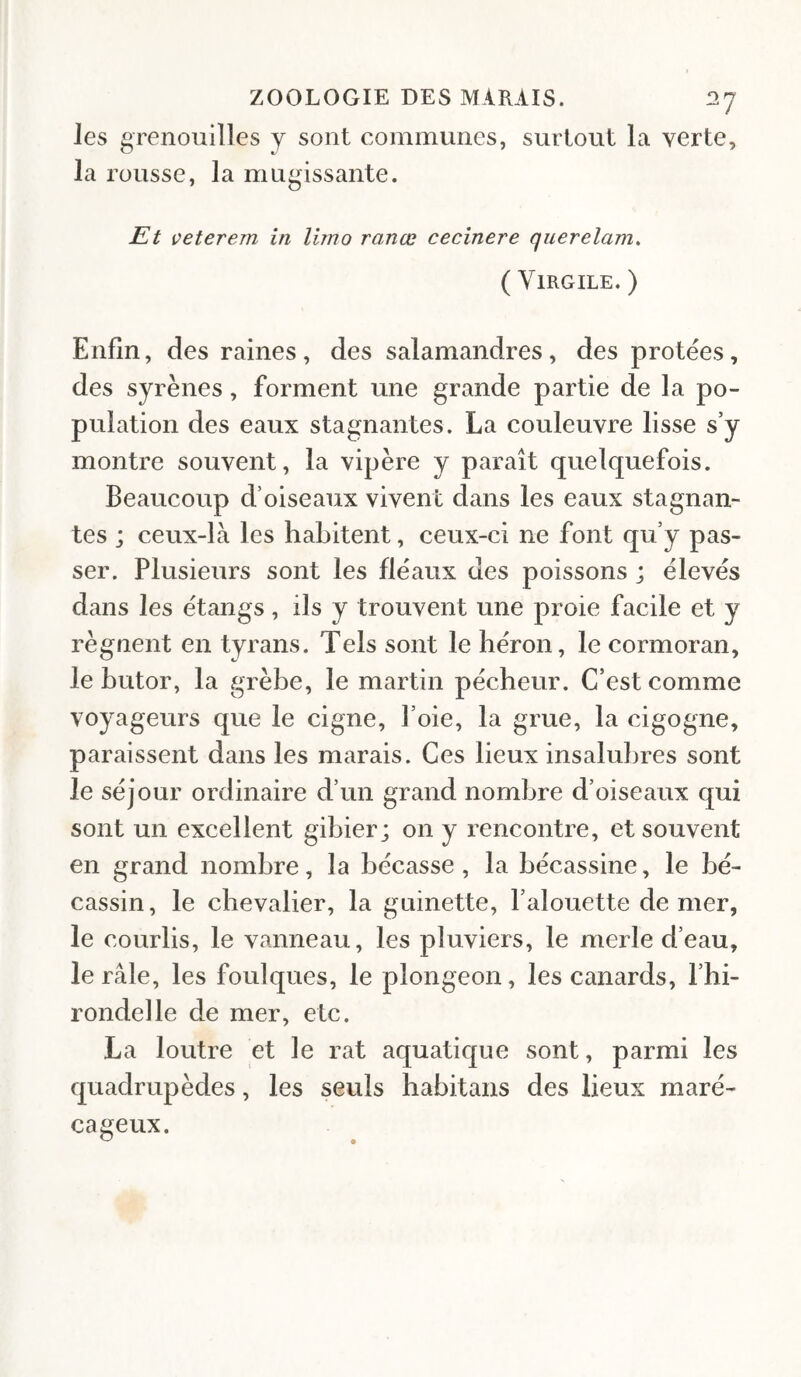 les grenouilles j sont communes, surtout la verte, la rousse, la mugissante. veterem in limo ranœ cecinere querelam, ( Virgile. ) Enfin, des raines, des salamandres, des protëes, des syrènes, forment une grande partie de la po¬ pulation des eaux stagnantes. La couleuvre lisse s’y montre souvent, la vipère y paraît quelquefois. Beaucoup d’oiseaux vivent dans les eaux stagnan¬ tes ; ceux-là les habitent, ceux-ci ne font qu’y pas¬ ser. Plusieurs sont les fléaux des poissons ; élevés dans les étangs , ils y trouvent une proie facile et y régnent en tyrans. Tels sont le héron, le cormoran, le butor, la grèbe, le martin pécheur. C’est comme voyageurs que le cigne, l’oie, la grue, la cigogne, paraissent dans les marais. Ces lieux insalubres sont le séjour ordinaire d’un grand nombre d’oiseaux qui sont un excellent gibier; on y rencontre, et souvent en grand nombre, la bécasse, la bécassine, le bé- cassin, le chevalier, la guinette, l’alouette de mer, le courlis, le vanneau, les pluviers, le merle d’eau, le râle, les foulques, le plongeon, les canards, l’hi¬ rondelle de mer, etc. La loutre et le rat aquatique sont, parmi les quadrupèdes, les seuls habitans des lieux maré¬ cageux.