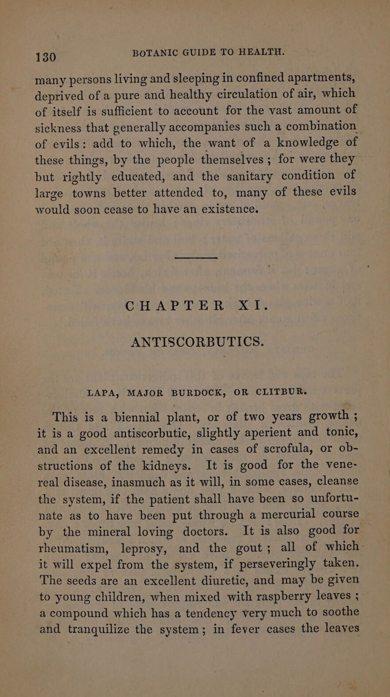many persons living and sleeping in confined apartments, deprived of a pure and healthy circulation of air, which of itself is sufficient to account for the vast amount of sickness that generally accompanies such a combination of evils: add to which, the want of a knowledge of these things, by the people themselves ; for were they but rightly educated, and the sanitary condition of large towns better attended to, many of these evils would soon cease to have an existence. CrHneAcPe Tk RK ANTISCORBUTICS. LAPA, MAJOR BURDOCK, OR CLITBUR. This is a biennial plant, or of two years growth ; it is a good antiscorbutic, slightly aperient and tonic, and an excellent remedy in cases of scrofula, or ob- structions of the kidneys. It is good for the vene- real disease, inasmuch as it will, in some cases, cleanse the system, if the patient shall have been so unfortu- nate as to have been put through a mercurial course by the mineral loving doctors. It is also good for rheumatism, leprosy, and the gout; all of which it will expel from the system, if perseveringly taken. The seeds are an excellent diuretic, and may be given to young children, when mixed with raspberry leaves ; a compound which has a tendency very much to soothe and tranquilize the system; in fever cases the leaves