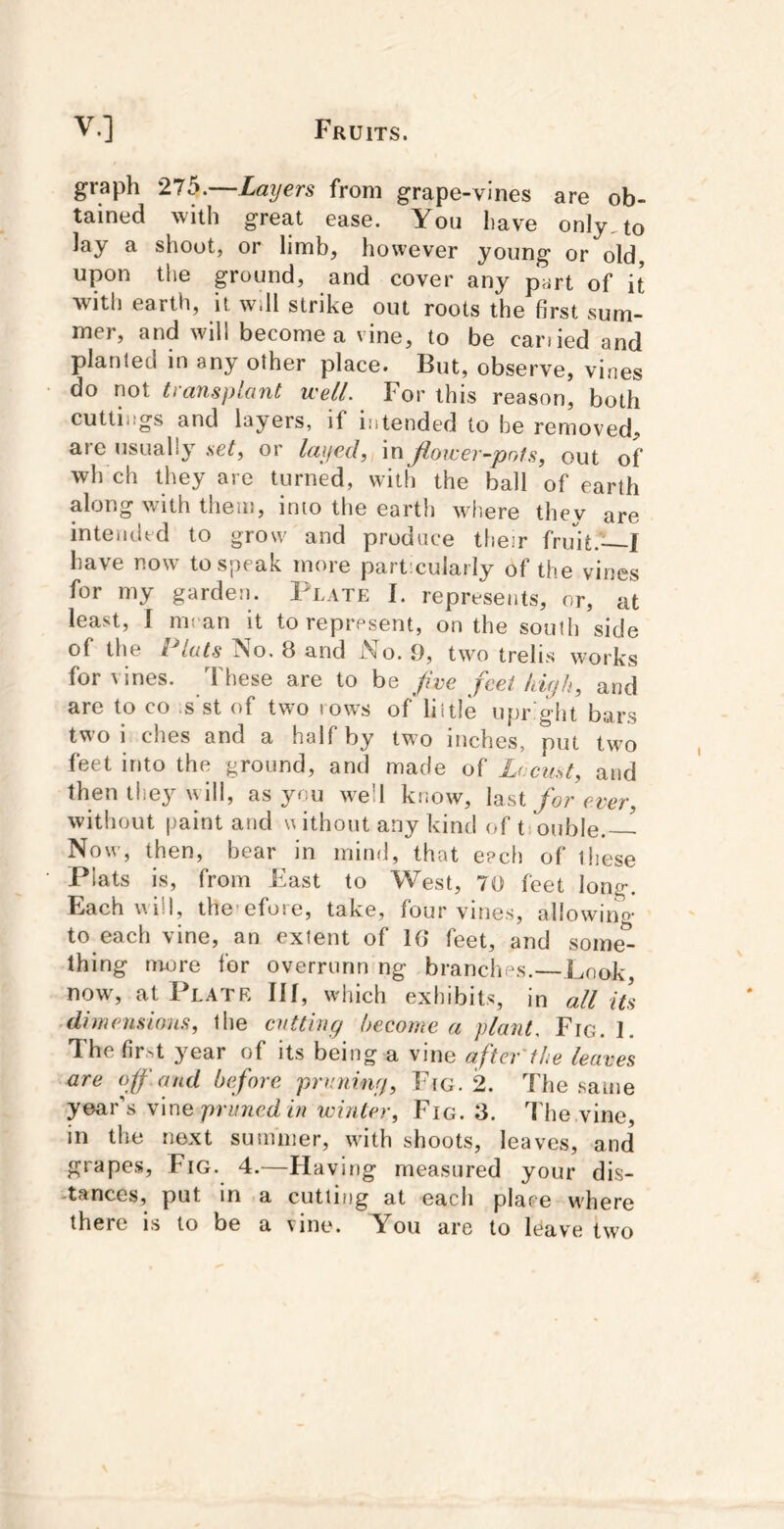 graph 275.—Layers from grape-vines are ob- tained with great ease. You have only, to lay a shoot, or limb, however young or old upon the ground, and cover any part of it with earth, it will strike out roots the first sum- mer, and will become a vine, to be canied and planted in any other place. But, observe, vines do not transplant well. For this reason, both cuttings and layers, if intended to be removed, aie usually set^ or layed, in Jiowev-pois, out of wh ch they are turned, with the ball of earth along with them, into the earth where they are intemltd to grow and produce tlieir fruit.—I have now to speak more partmularly of the vines for my garden. Plate I. represents, or, at least, I mean it to represent, on the south side of the Plats No. 8 and No. .9, two trelis works for vines. These are to be five feet kiqh, and are to co .s’st of two lows of'liitle upr ght bars two i ches and a half by two inches, put two feet into the ground, and made of Lccust, and then they will, as you well know, for ever, without paint and u ithoiit any kind oftiouble.— Now, then, bear in mind, that each of these Plats is, from East to West, 70 feet long. Each viil, the’efose, take, four vines, allowino* to each vine, an extent of 16 feet, and some^ thing more for overrunn ng brancloLs.— Look, nows at Plate III, which exhibits, in all its .dimensions, the cntting become a plant. Fig. 1. The fir,4 year of its being a vine after'the leaves are off. and bifore prnniny, Fig. 2. The same >yesxY\ v\x\Q pruned in winter. Fig. 8. The vine, in the next summer, wnth shoots, leaves, and grapes. Fig. 4.—Having measured your dis- -tances, put in a cutting at each place where there is to be a vine. Y^ou are to Pav'e two