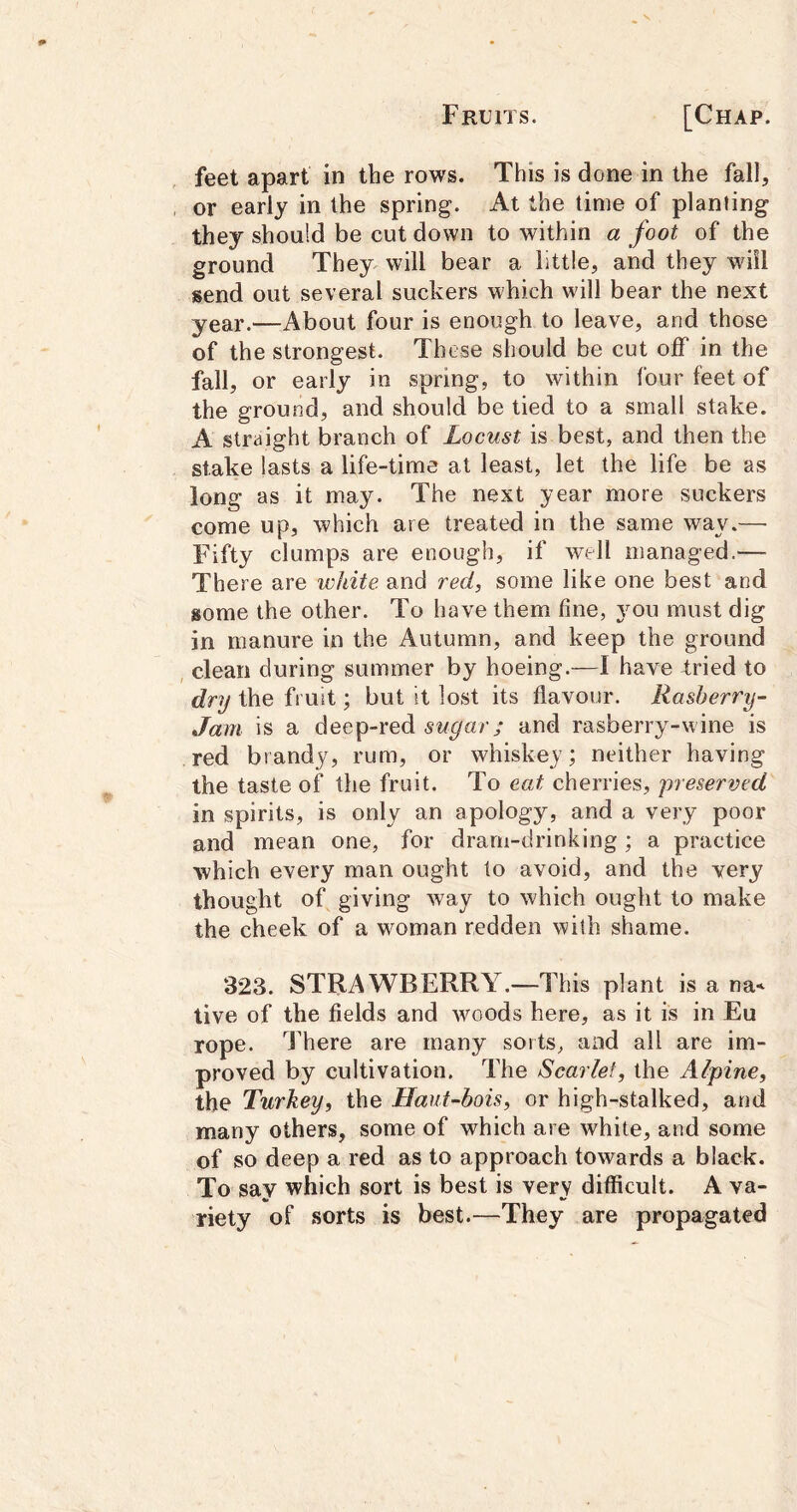 feet apart in the rows. This is done in the fall, or early in the spring. At the time of planting they should be cut down to within a foot of the ground They will bear a little, and they will send out several suckers which will bear the next year.—About four is enough to leave, and those of the strongest. These should be cut off in the fall, or early in spring, to within four feet of the ground, and should be tied to a small stake. A straight branch of Locust is best, and then the stake lasts a life-time at least, let the life be as long as it may. The next year more suckers come up, which are treated in the same way.— Fifty clumps are enough, if well managed.— There are wldte and red, some like one best and some the other. To have them fine, 3^011 must dig in manure in the Autumn, and keep the ground , clean during summer by hoeing.—I have 4;ried to dry the fruit; but it lost its flavour. Rasberry- Jam is a deep-red sugar; and rasberry-wine is red brandy, rum, or whiskey; neither having the taste of the fruit. To eat cherries, preserved in spirits, is only an apology, and a very poor and mean one, for drarn-drinking; a practice which every man ought to avoid, and the very thought of giving way to which ought to make the cheek of a woman redden with shame. 323. STRAWBERRY.—This plant is a na< tive of the fields and woods here, as it is in Eu rope. Inhere are many sorts, and all are im- proved by cultivation. The Scarlet, the Alpine, the Turkey, the Llaut-bois, or high-stalked, and many others, some of which are white, and some of so deep a red as to approach towards a black. To say which sort is best is very difficult. A va- riety of .sorts is best.—They are propagated