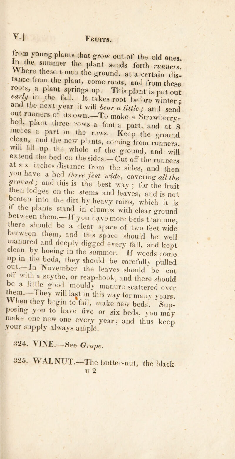 from young plants that grow out of the old ones In the summer the plant sends forth runners. here these touch the ground, at a certain dis- tance (rom the plant, come roots, and from these roots, a plant springs up. This plant is put out eailij m ihe fall. It takes root before winter • and the next year it will bear a liitle ; and send outrunners of its own.—To make a Strawberry- e , plant three rows a foot a part, and at 8 inches a part in ihe rows. Keep the ground ^ -M r^iants, coming from runners, hJl up the whole of the ground, and will extend the bed on the sides.-Cut off the runners at six inches distance from the sides, and then you ha ve a bed three feet wide, covering all the and this is the best way; for the fruit then lodges on the stems and leaves, and is not beaten into the dirt by heavy rains, which it is It the plants stand in clumps with clear ground between them.—If you have more beds than one, there should be a clear space of two feet wide between them, and this space should be well manured and deeply digged every fall, and kept clean by hoeing in the summer. If weeds come up in the beds, they should be carefully pulled out.-In November the leaves should ^ be cut oil with a scythe, or reap-hook, and (here should be a little good mouldy manure scattered over 'vvillla^t in this way for many years. V\ hen they begin to fail, make new beds’! Sup- posing you to have five or six beds, you may make one new one every year; and thus keep your supply always ample. 324. VINE.—See Grape, 325. WALNUT.—The butter-nut, the black