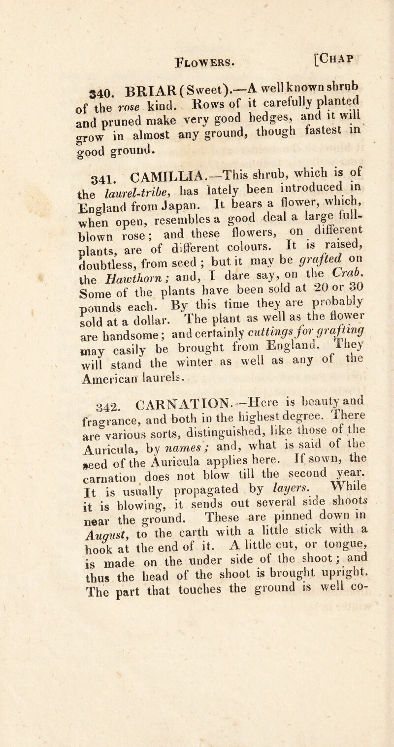 S40 BRIAR ( Sweet).—A well known shrub of the rose kind. Rows of it carefully planted and pruned make very good hedges, and it will grow in almost any ground, though fastest in good ground. 341 CAMILLIA.—This shrub, which is of the laurel-tribe, has lately been iritroduced m England from Japan. It. bears a flower, which, when open, resembles a good deal a large full- blown rose; and these flowers, on different plants, are of different colours. It is raised, doubtless, from seed ; but it may be grafted on the Hawthorn; and, I dare ^ay, on the Some of the plants have been sold at 20 or .30 pounds each. By this time they are probably sold at a dollar. The plant as well as the flower are handsome; certainly cuttings Jor may easily be brought from England, ihey will stand the winter as well as any ot the American laurels. 342 CARNATION.—Here is beauty and fragrance, and both in the highest degree. There are various sorts, distinguished, like those of the Auricula, by names; and, what is said of the seed of the Auricula applies here. If sown, the carnation does not blow till the second year. It is usually propagated by layers. While it is blowing, it sends out several side shoots near the ground. These are pinned down in Auqust, to the earth with a little stick with a hook at the end of it. A little cut, or tongue, is made on the under side of the shoot; and thus the head of the shoot is brought upright. The part that touches the ground is well co-