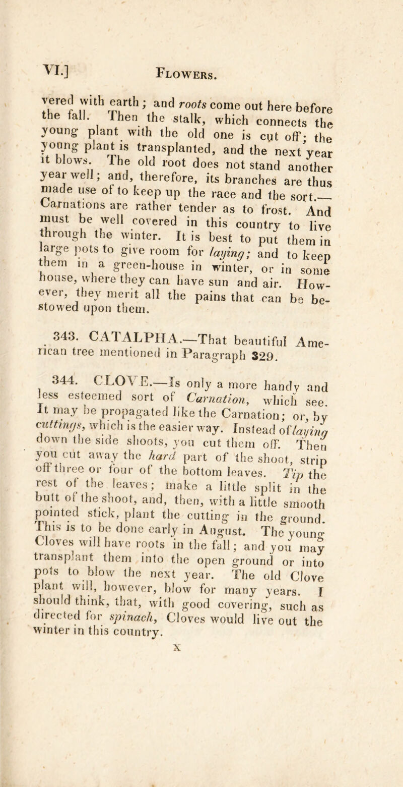 yerecl vvith earth; and roots come out here before the fall. I hen the stalk, which connects the young plant with the old one is cut off- the yonng plant IS transplanted, and the next year It blows. The old root does not stand another year well; and, therefore, its branches are thus niade use ot to keep up the race and the sort.— tarnations are rather tender as to frost. And must be well covered in this country to live through the winter. It is best to put them in large pots to give room for taying; and to keep them in a green-house in winter, or in some house, where they can have sun and air. How- ever, they merit all the pains that can be be- stowed upon them. 34.3. CAl ALPHA.—That beautiful Ame- rican tree mentioned in Paragraph S29. 344. CLOVE.—Is only a more handy and less esteemed sort of Carnation, which see It nicay be propagated like the Carnation; or, by cuttings, which is the easier way. Instead oHayinq clown the side shoots, you cut them off. Then you cut away the /lard part of the shoot, strip ofl three or four of the bottom leaves. 7Vp the rest of the leaves; make a little split in the butt ol the slioot, and, then, we'th a little smooth pointed stick, plant the cutting in the ground This is to be done early in August. The youncr* Cloves will have roots in the fall; and you may transplant them into tlie open ground or into pots to blow the next year. The old Clove plant will, liowever, blow for many years. I should think, that, with good covering, such as directed lor spinach, Cloves would live out the winter in this country. X