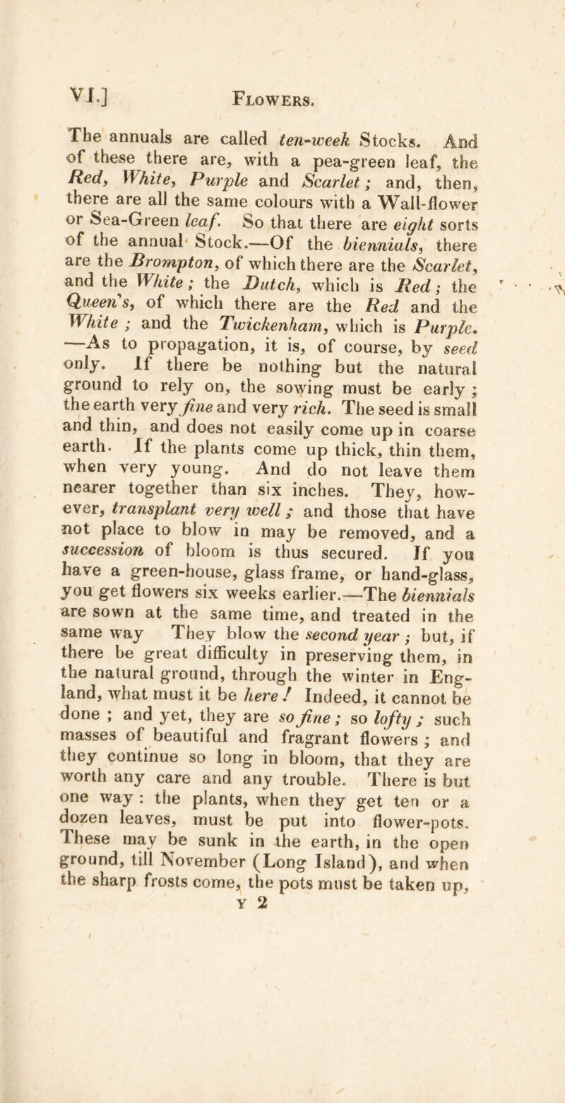 The annuals are called ten-week Stocks. And of these there are, with a pea-green leaf, the Hedy White, Purple and Scarlet; and, then, there are all the same colours with a Wall-flower or Sea-Green leaf. So that there are eight sorts of the annual* Stock.—Of the biennials, there are the Brompton, of which there are the Scarlet, and the White; Dutch, which is Red; the Q^ueeii s, of which there are the Red and the White ; and the Twickenham, which is Purple. —As to propagation, it is, of course, by seed only. If there be nothing but the natural ground to rely on, the sowing must be early ; the earth very fine and very rich. The seed is small and thin, and does not easily come up in coarse earth. If the plants come up thick, thin them, when very young. And do not leave them nearer together than six inches. They, how- ever, transplant very well; and those that have not place to blow in may be removed, and a succession of bloom is thus secured. If you have a green-house, glass frame, or hand-glass, you get flowers six weeks earlier.—The biennials are sown at the same time, and treated in the same way They blow the second year ; but, if there be great difficulty in preserving them, in the natural ground, through the winter in Eng- land, what must it be here I Indeed, it cannot be done ; and yet, they are so fine; so lofty ; such masses of beautiful and fragrant flowers ; and they continue so long in bloom, that they are worth any care and any trouble. There is but one way : the plants, when they get ten or a dozen leaves, must be put into flower-pots. These may be sunk in the earth, in the open ground, till November (Long Island), and when the sharp frosts come, the pots must be taken up.