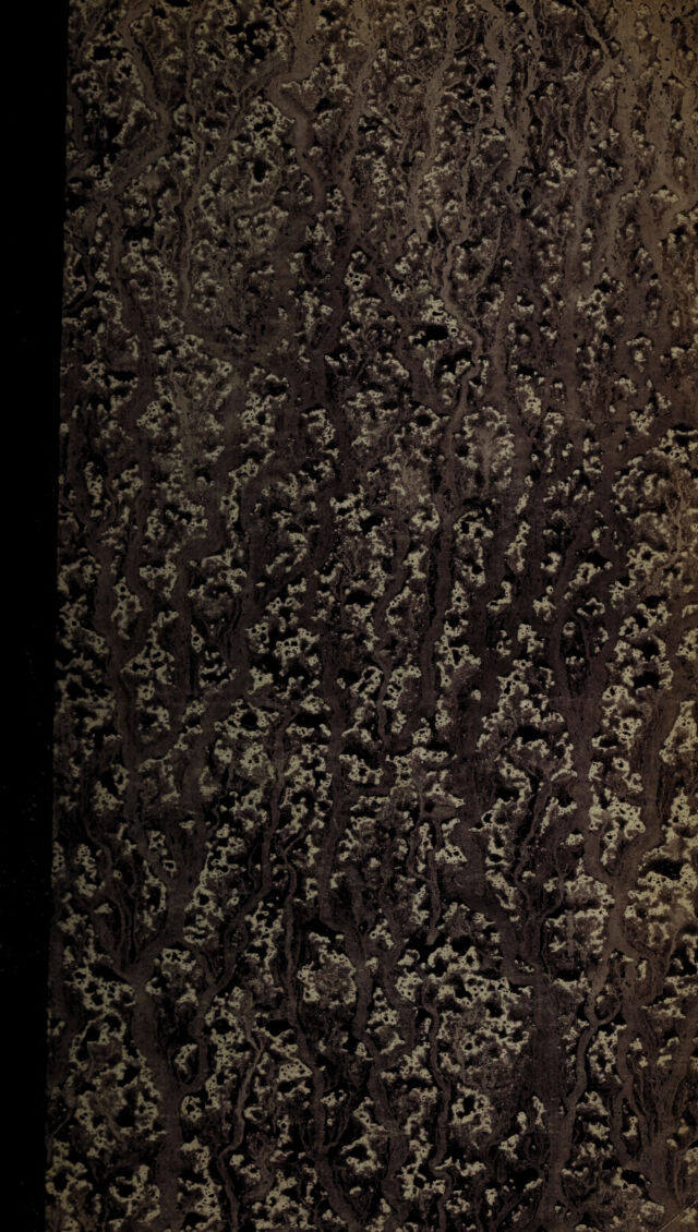 digitised image 1
