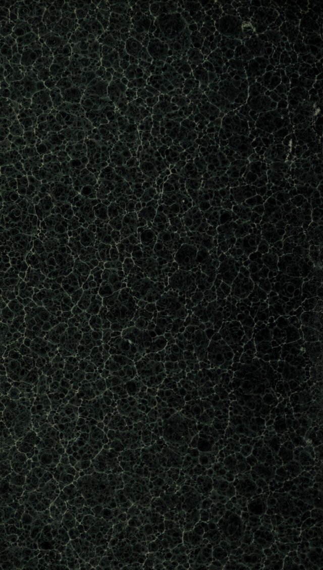 digitised image 2