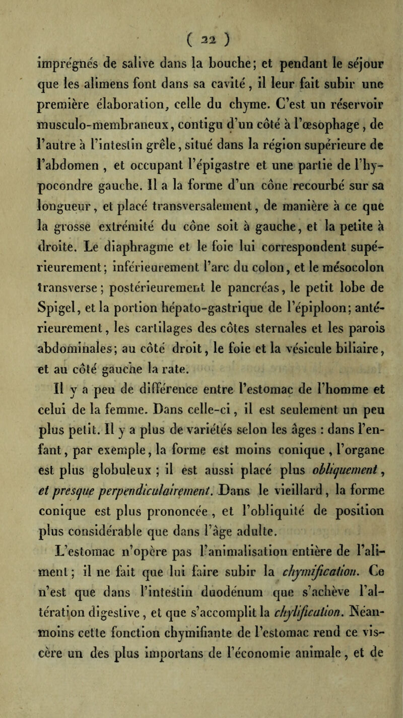imprégnés de salive dans la bouche; et pendant le séjour que les alimens font dans sa cavité, il leur fait subir une première élaboration, celle du chyme. C’est un réservoir musculo-membraneux, contigu d’un côté à l’œsophage , de l’autre à l’intestin grêle, situé dans la région supérieure de l’abdomen , et occupant l’épigastre et une partie de l’hy- pocondre gauche. Il a la forme d’un cône recourbé sur sa longueur, et placé transversalement, de manière à ce que la grosse extrémité du cône soit à gauche, et la petite à droite. Le diaphragme et le foie lui correspondent supé- rieurement; inférieurement l’arc du colon, et le mésocolon transverse; postérieurement le pancréas, le petit lobe de Spigel, et la portion hépato-gastrique de l’épiploon; anté- rieurement , les cartilages des côtes sternales et les parois abdominales; au côté droit, le foie et la vésicule biliaire, et au côté gauche la rate. Il y a peu de différence entre l’estomac de l’homme et celui de la femme. Dans celle-ci, il est seulement un peu plus petit. Il y a plus de variétés selon les âges : dans l’en- fant , par exemple, la forme est moins conique , l’organe est plus globuleux ; il est aussi placé plus obliijuement, et pres(jue perpendiculairement. Dans le vieillard, la forme conique est plus prononcée , et l’obliquité de position plus considérable que dans l’âge adulte. L’estomac n’opère pas l’animalisation entière de l’ali- ment ; il ne fait que lui faire subir la chymification. Ce n’est que dans l’intestin duodénum que s’achève l’al- tération digestive, et que s’accomplit la chylification. Néan- moins cette fonction chymifiante de l’estomac rend ce vis- cère un des plus Importans de l’économie animale, et de