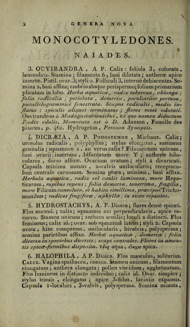 MONOCOTYLEDONES, naïades. 3. OÎJVIRANDRA , A P. Calix : foliola 3, colorata, ianceolata. Stamina ; filainenta 6 y basi dilatata ; antheræ apice insertœ. Pistil, ovar. 3; st^rli o. Folliculi 3, interné déhiscentes. Se- mina 2., basi affixa; embrio absque perispermo; folium primarium, plicatuin inlobo. Herba aquatica, radix tuberosa, oblonga ; folia radie alia jjetiolata , deniers a , peculiariter pertusa y paT’allelogrammicè fenestrata. Scapus radicalis , medio in-~ flatiis ; spiculis aliquot terminatus ; flores rosei odorati, Ouvirandrou ci Madagascariensibus, ex qiio nomeri diductum Bjidix edulis, Meniorata est à D. Adanson , Famille des plantes, p. 462. Hydrogeton , Persoon Synopsis. 4. DICRÆIA , A P. PoDOSTEMON , Michaux. Calix; urceolus radicalis , polyphyllus ; Stylus elongatus , sustinens genitalia ; squammæ 2, an verus calix? Filameiitum unicum , basi ovarii insertum , bifurcatum more Y ; antheræ bilo- culares , dorso affixæ. Ovarium ovatum ; styli 2 divaricati. Capsula minima nutans , 2-valvis unilocularis; receptacu- lum centrale carnosum. Semina plura , minima^ basi affixa. Jierbula aquatica y radix vel caulis laminosa, more Hepa- ticarum , rupibus repens ; folia demersa, tenerrimay fragilia, more PïXicxxxwconvoluta, et habitu simillima, prœcipuè^x'\ç\\Q^ inanibus ; radices frugifer ce, aphyllœ y in sicco repentes. 5. HYDROSTACHYS, A. P. Dioica; flores dense spicati. Flos mascul. ; calix; squamma axi perpendicularis , apice re- curvo. Siainen unicum; anthera sessilis; loculi 2 distincti. Flos femineus; calix id. ; ovar. sub squamma latens; styli 2. Capsula ovata , hinc compressa, unilocularis, bivalvis, polysperma ; semina parietibus affixa. Herbœ aquaticœ , demersœ ; folia diversa inspeciebus diversis ; scapi centrales. Flores in amen~ tis spiccB-formibus disposita. ciqua, spica. 6. HALOPHILA, AP. D ioïca. Flos mascul us, solitarius. Calix. Vaginaspalhacea, conica. Stamen unicum, filamentum elongalum ; anthera elongata ; pollen viscidum , agglutinaturn. Flos femineus in distinclo individuo; calix id. Ovar. simplex ; Stylus tenuis , elongatus ; apice 3-fidus, laciniis expansis. Capsula i-loculars , 3-valvis, polysperma. Semina minuta^