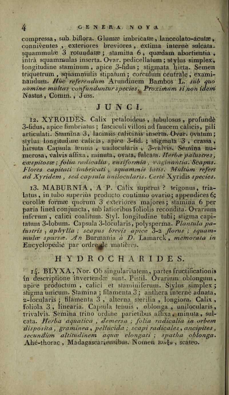 compressa, sub biflora. Glumæ imbricatæ, lanceolato-acutæ, conniventes , exterioies breviores , extima interné siilcata. squainmulcé 3 rotundatce ; stamina 6 ^ quædam abortientia , intrà squammulas inserta. Ovar. pedicellatum ; stjlus simplex, longitudine stamiiium, apice 3-tidus ; stigmata liirta. Semen triquetrum , squammulis stipatum ; Corculum centrale, exami- Jiandum. Hüc refetendum Arundinem Bambos L. siib quo nomine multas i^oiifundimtiirspecies.^ Ptoxirftïim sinon iderri Naslus, Comm., Juss. . J U N C 1. 12. XYROIDES. Calix petaloideus , tubulosus, profundè 3-fidus, apice fimbriatus ; fasciculi villosi ad faucem càlicis, pili arîiculati. Stamtna 3, laciniis calicihis inserta. Ovar^ ovatum; stjlas iongitLidine calicis, apice 3-tid. ^ stigmata 3 , crassa, hirsuta Capsula tennis , unilocularis > 3-vahds. Semîna nu- merosa, Valvis affixa, minuta, ovata, Herb ce palustres y cæspitosœ ; folûi md 'Kyaiùi, lensifoT'micl, vàginantia. Scapiis. Flores capituti inibrioati squnmmi^ Ititis. Multùm refert ad Xyridem, sed capsula luiilocularis. Certè Xjridis species. 13. MABURNIA , A P. Calix superus ? trigonus, tria- latus, in tubo superiùs producto continuo ovario; appendices 6; corollæ formée quorum 3 exteriOres majores; stamina 6 per paria lineâconjuncta, sub latioribus foliolis recondita. Ovarium inforum, calici coalitum. Styl. longitudine tubi; stigma capi- tatum 3-lobum. Capsula 3-locularis, polyspenna. Vlantula pa~ instris j aphylla ; scapiis brevis apice 3-2 flonis ; squam^ mulœ sparsce. An Burmaiiia à D. Lamarck , inemorata in Encyclopédie par ordreg^e matières. PI Y D R O C H A R I D E S. 14. BLYXA, Xor. Ob singularilatem, partes fructificationis in descriptione invertériclce sunt. Pistil. Ovarium oblongum, apice productum , calici et stamiiiiferum. Stylus simplex ; stigma imicum. Stamina ; filamenta 3 ; antbera interné adnata, 2-locularis ; filamenta 3 , alterna sterilia , longiora. Calix , foliola 3 , linearia. Capsula teiiuis , oblon^a , unilocularis, trivalvis. Semina trino ordirie parietibus affixa, minuta, sul- cata. Herba aqiiatica , demersa ; folia radicalia in orbein disposita J graminea ^ peliucida ; scapi radicales a/icipites , secundinn altdtudinem aquæ elongati ; spath a oblonga» Alié-thorac , Madagascariensibus. Noineu , scateo.