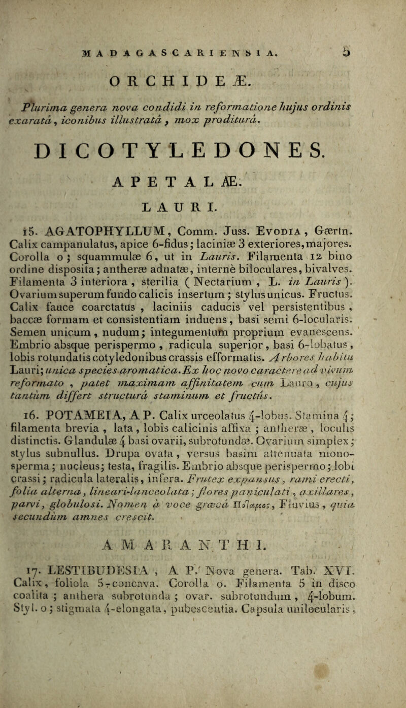 O R C H I D E Æ. P'iurima généra nova condidi in reformatioTiehujus ordinis exaratâ, icoîiibus illustratâ , mox proditiirâ. DICOTYLEDONES. A P E T A L Æ. L A U R I. 15. AGATOPHYLLUM, Comm. Juss. Evodia , Gærtn. Calix campanulatLis, apice 6-fidus; laciniæ 3 exteriores,majores. Corolla o; squammuiæ 6, ut in Lauris. Eilaraenta 12- bino ordine disposita; antheræ adiiatæ, interné biloculares, bivalves. Filamenta 3 interiora , sterilia ( Nectarium , L. in Lauris ). Ovariumsuperumfundo calicis insertum ; Stylus unions. Eructas. Calix fauce coarctatus , laciniis caducis vel persistentibus , baccæ formam et consistentiam induens, basi semi 6-locularis. Semen unicum, nudum ; integumentum proprium evanescens. Embrio absque perispermo , radicula superior, basi b-lobatus , lobis rotundatis cotyledonibus crassis efformatis. Arbores habita Lauri; unica species aromabica.Lx hoc novo caractère ad vlvum reformate , patet maxiinam affinitatem cu/n Eauro , cujus tantum differt structura staininum et frue tus. 16. POTAMEIA, A P. Calix urceolafus 4-lobn3. Siamina 4 ,* filamenta brévia , lata , lobis calicinis al'fixa ; antlieræ , loculis distinctis. Glandulæ 4 basi ovarii, siibrotundæ. Ovariiiin simplex ,* Stylus siibnullus. Drupa ovata, versus basim altenuafa niono- sperma ; nucléus; testa, fragilis. Embrio absque perispermo;.lobi crassi ; radicula lateralis, inféra. Frutex expausus, raini erecti, folia alterna y linearida/iceolata; flores pa?iiculati ^ axillares, parviy globulosi. Nomen à 'voce grœcâ Ililapa;, Elüvius, quia, secundhm amnes crescit. A M A R A N. T H L 17. LESTIBUDESIA , A P/ Nova généra. Tab. XYI. Calix, foliola Srconcava. Corolla o. Eilamenta 5 in disco coalita ; anlbera subrotunda ; ovar. subrotunduin , 4”lobum. Sty l. O ; stigniata 4-elongala, pubesceutia. Capsula uiiilocularis ,