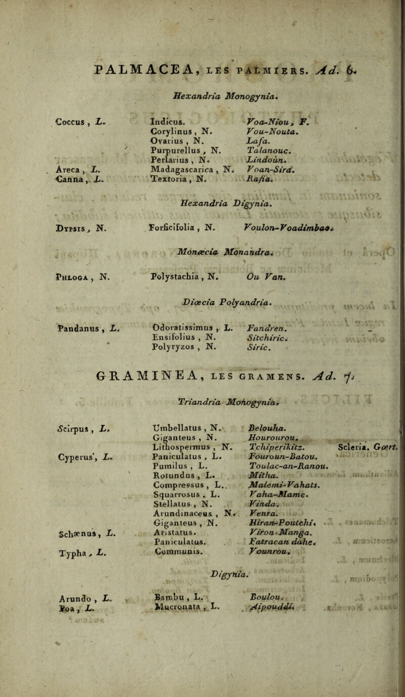 PALMACEA, LES paImiers. Ad, 6. Hexandria Monogynia, Coccus , L, Areca , L. CannaL, Dïrsis, N. Indiens. Corylinus, N. Ovarius , N. Purpurellus , N. Perlaiius , N. Voa-Niou, F, Fou-Nouta, Lafa. Talanouc. Lindoùn, Madagascarica, Voan-Sirà, Textoria, N. Rafia. Hexandria Digynia» Forficifolia , N. Voulon~Voad£tnbaOi^ Montéeia Mdnahdra^ Phxoga , N. Pandanus, L, Polystachia, N.* Ou Van, r' - Hiœcia Polyandria, Odoratissimus , L. Fandren. Ensifolius , N. Sitchiria Polyryzos , N. Siric. GRAMINEA, les gr^amens. Ad, Triandria Monogynia 0 .Scirpus , L, Cyperus*, L, Schænas, L. Typha > L. Arundo , i. Soa} L, XJmbellatus , N. Giganteus , N. Lithospermus , N. Paniculatus , L. Purailus , L. Rotundus , L. Compressas, L.. Squarrosus , L. Stellatus , N. Arundinaceus , N< Giganteus , N. Aristatus. Paniculatus. Communia. Digyr Belouha. Hourourou» Tchiperikitz. Scie Fouro un-Bato u. T O ulac~an~Ranou, Mitha. ' Maiemi- Vahats, Vaha~Mame, Vinda. Venra. ' Hîrani-Poutehit ’* Virons Manga. Fntracan dahçé < Voiunrou, Barcbu , L. Bouloui Mucronata , L. ^j^ipouddi* lia. Gcert. .U . 11.