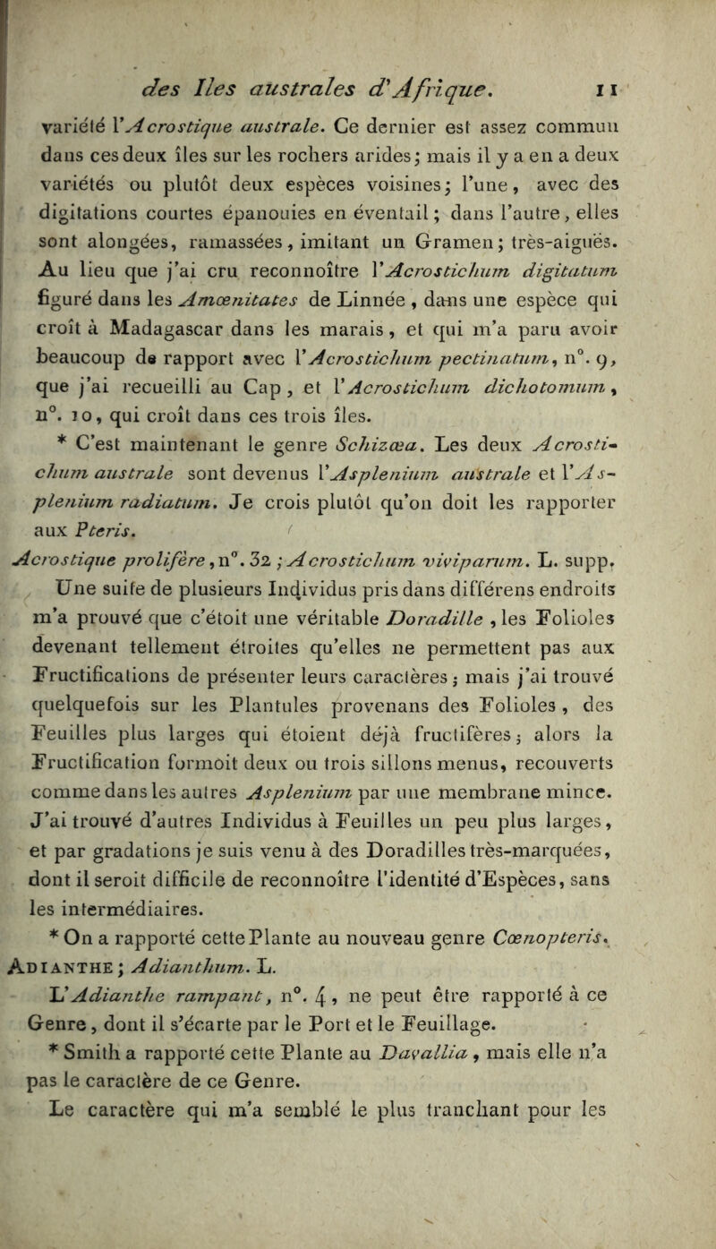 varlélé XAcrostique australe. Ce dernier est assez commun dans ces deux îles sur les rochers arides; mais il y a en a deux variétés ou plutôt deux espèces voisines; l’une, avec des digitations courtes épanouies en éventail; dans l’autre, elles sont alongées, ramassées , imitant un Gramen ; très-aiguës. Au lieu que j’ai cru reconnoître XAcrostichum digitatum figuré dans les Amœjiitates de Linnée , dans une espèce qui croît à Madagascar dans les marais, et qui m’a paru avoir beaucoup de rapport avec XAcrostichum pectijiatum, n®. 9, que j’ai recueilli au Cap , et X Acrostichum dichotomum, n°. 10, qui croît dans ces trois îles. * C’est maintenant le genre Schizœa. Les deux Acrosti» chum australe sont devenus X Asplénium australe e\.X A s~ plejiium radiatum. Je crois plutôt qu’on doit les rapporter aux P te ris. < Acrostique prolifère ,7>% ; Acrostichum vivipamm. L. supp. Une suite de plusieurs In4ividus pris dans différons endroits m’a prouvé que c’étoit une véritable Doradille , les Eolioles devenant tellement étroites qu’elles ne permettent pas aux Eructificalions de présenter leurs caractères j mais j’ai trouvé quelquefois sur les Plantules provenans des Eolioles, des Feuilles plus larges qui étoient déjà fructifères j alors la Fructification formoit deux ou trois sillons menus, recouverts comme dans les autres Asplénium par une membrane mince. J’ai trouvé d’autres Individus à Feuilles un peu plus larges, et par gradations je suis venu à des Doradilles très-marquées, dont il seroit difficile de reconnoître l’identité d’Espèces, sans les intermédiaires. * On a rapporté cette Plante au nouveau genre Ccenopteris, Ad ianthe; Adianthum. L. UAdianthe rampaiit, n®. 4? ne peut être rapporté à ce Genre, dont il s’écarte par le Port et le Feuillage. ^ Smith a rapporté cette Plante au Davallia , mais elle n’a pas le caractère de ce Genre. Le caractère qui m’a semblé le plus tranchant pour les