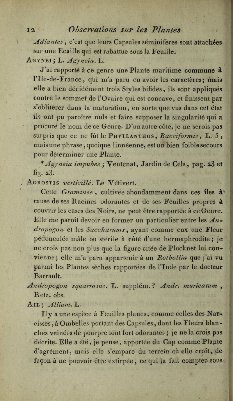 Adiajites ^ c’est que leurs Capsules sémiiiifères sont attachées |j sur une Ecaille qui est rabattue sous la Feuille. ij Agynei; L. Agyfieia. L. ■ ] J’ai rapporté à ce genre une Plante maritime commune à ’ rile-de-France, qUi m’a paru en avoir les caractères; mais | elle a bien décidément trois Styles bifides, ils sont appliqués | contre le sommet de l’Ovaire qui est concave, et finissent par s’oblitérer dans la maturation, en sorte que vus dans cet état ils ont pu paroître nuis et faire supposer la singularité qui a procuré le nom de ce Genre. D’unautre côté, je ne serois pas surpris que ce ne fût le Phyllanthus, Bacciformis ^ L. 5 j a mais une phrase, quoique linnéenne, est un bien foibie secours B pour déterminer une Plante. ^ Agyneia impubes ; Ventenat, Jardin de Gels, pag. 23 et i fig. 23. Agrostis verticillé. Le Vétivert. Cette Graminée , cultivée abondamment dans ce^ îles à' J cause de ses Pacines odorantes et de ses Feuilles propres à « couvrir les cases des Noirs, ne peut être rapportée à ce Genre. Elle me paroît devoir en former un particulier entre les An» dropogon et les Sacchamms ^ ayant comme eux une Fleur pédonculée mâle ou stérile à côté d’une hermaphrodite ; je ne crois pas non plus que la figure citée de Plucknet lui con- î vienne; elle m’a paru appartenir à un Botbollia que j’ai vu parmi les Plantes sèches rapportées de l’Inde par le docteur Barrault. Andropogon squarrosus. L. supplém. ? Andr. inuricatum , Retz. obs. Ail ; Allimn, L. Ily aune espèce à Feuilles planes, comme celles des Nar- cisses, à Ombelles portant des Capsules, dont les Fleurs blan- ches veinées de pourpre sont fort odorantes ; je ne la crois pas décrite. Elle a été, je pense, apportée du Cap comme Plapte d’agrément, mais elle s’empare du terrein où elle croît, de . façon à ne pouvoir être extirpée, ce qui la fait compter sous.