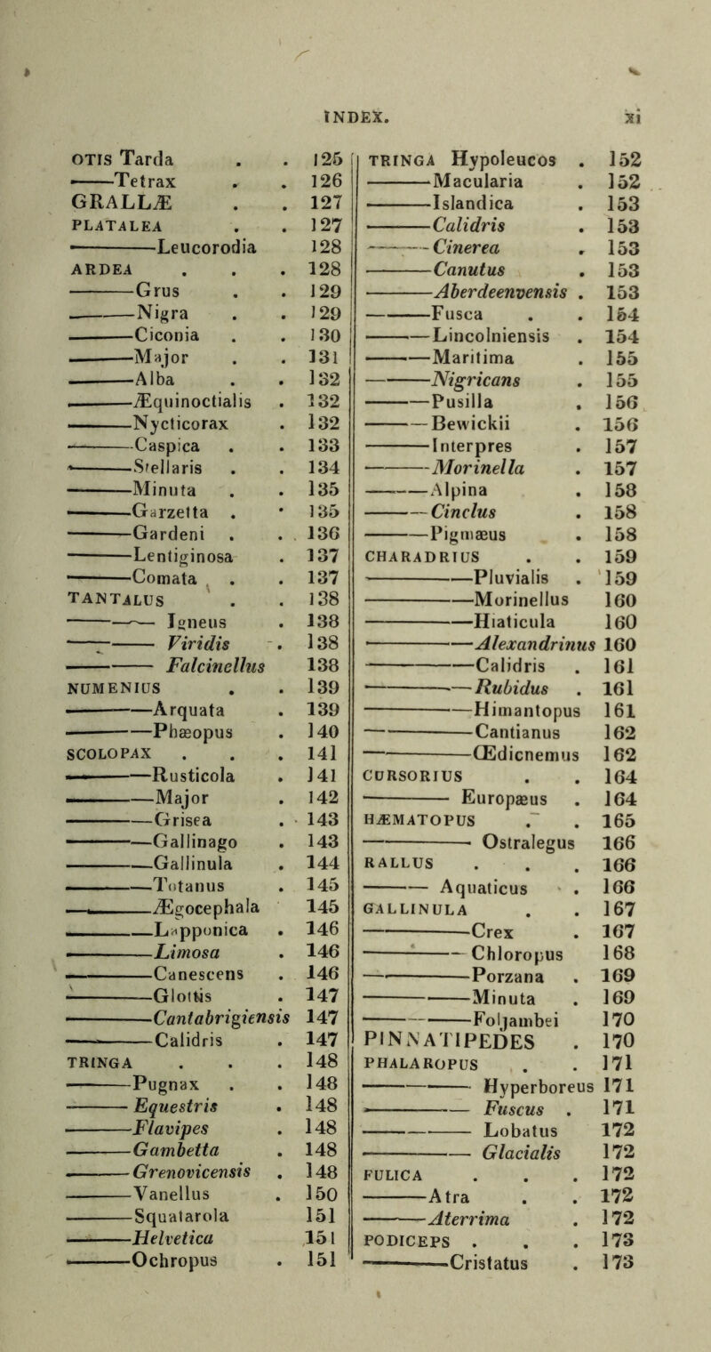 OTIS Tarda —Tetrax GRALLiE PLaTALEA ^Leucorodia ARDEA ■ Grus Nigra Ciconia -Major Alba iEquinoctialis Nycticorax Caspica Sfellaris —MiniJta ——-Garzelta . Garden! ■ Lenliginosa- ——Comata ^ . tantalus —— Igneus '— Viridis Falcinellus numenius Arquata ■ Phagopus SCOLOPAX ■■  —Rusticola —Major Grisea Gallinago Gallinula ■ —Tota tills — yEgocephala —, „ —Lappunica Limosa Canescens —Glottis -Caniabrigiensis —— Calidris TRINGA —— Pugnax Equestris • Flavipes ■ Gambetta • Grenovicensis Vanellus Squat arola — Helvetica Ochropus TRINGA Hypoleucos . 152 Macularia . 152 Islandica . 153 Calidris . 153 — Cinerea , 153 Canutus , 153 ■ Aberdeenvemis . 153 Fusca . .154 Lincolniensis . 154 ———Maritima . 155 — Nigricans . 155 Pusilla . 156 Bewickii . 156 Interpres . 157 Morinella . 157 Alpina . 158 Cinclus . 158 Pigniaeus . 158 CHARADRIUS . . 159 —Pluvialis . '159 Morinellus 160 —Hiaticula 160 Alexandrinus 160 •Calidris . I6l Rubidus . 161 Himantopus 161 — Cantianus 162 — GEdicnemus 162 CDRSORIUS . . 164 Europaeus . 164 HiEMATOPUS .' . 165 Ostralegus 166 RALLUS . . . 166 Aquaticus ' . 166 GALLINULA . . 167 Crex . 167 • Chloropus 168 — Porzana . 169 Minuta . 169 ■ Foljambei 170 PINNATIPEDES . 170 PHALAROPUS . . . 171 Hyperboreus 171 — ■' — Fuscus . 171 Lobatus 172 Glacialis 172 FULICA . . .172 Atra . . 172 Aterrima . 172 PODICEPS . . . 173 —-Cristatus . 173 125 126 127 127 128 128 129 129 130 131 132 132 132 133 134 135 135 136 137 137 138 138 138 138 139 139 140 141 141 142 143 143 144 145 145 146 146 146 147 147 147 148 148 148 148 148 148 150 151 ,151 151