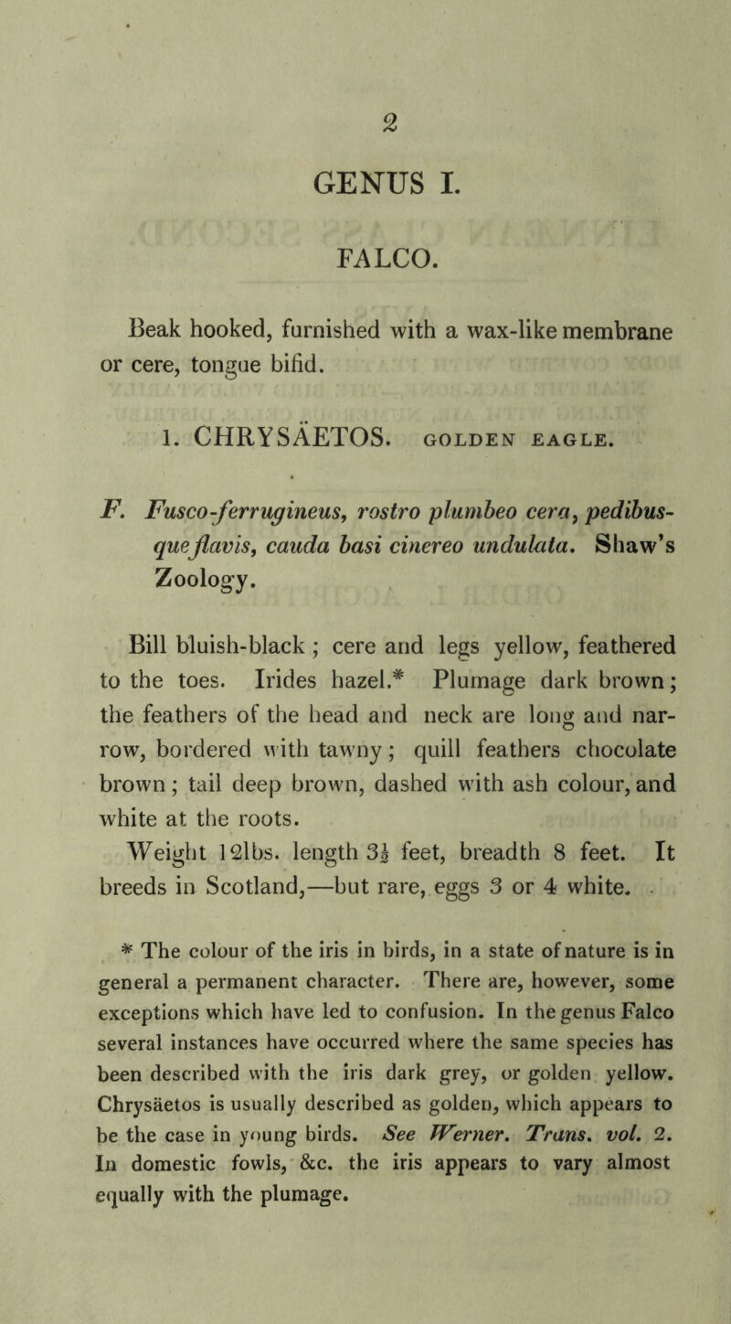 GENUS L FALCO. Beak hooked, furnished with a wax-like membrane or cere, tongue bifid. 1. CHRYSAETOS. golden eagle. F, Fusco-ferrugineus, rostro plumbeo cera, pedibus- queJlavis, cauda basi cinereo undulata, Shaw’s Zoology. Bill bluish-black; cere and legs yellow, feathered to the toes. Irides hazel.* Plumage dark brown; the feathers of the head and neck are long and nar- row, bordered with tawny; quill feathers chocolate brown; tail deep brown, dashed with ash colour,*and white at the roots. Weight 12lbs. length 3i feet, breadth 8 feet. It breeds in Scotland,—but rare, eggs 3 or 4 white. . * The colour of the iris in birds, in a state of nature is in general a permanent character. There are, however, some exceptions which have led to confusion. In the genus Falco several instances have occurred where the same species ha^ been described with the iris dark grey, or golden yellow. Chrysaetos is usually described as golden, which appears to be the case in young birds. See Werner, Trans, vol, 2. In domestic fowls,'&c. the iris appears to vary almost equally with the plumage.