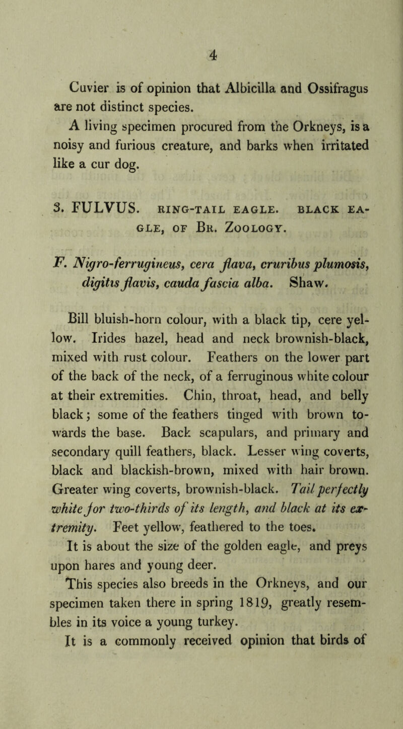 Cuvier is of opinion that Albicilla and Ossifragus are not distinct species. A living specimen procured from the Orkneys, is a noisy and furious creature, and barks when irritated like a cur dog. i 3. FULVUS. RING-TAIL EAGLE. BLACK EA- GLE, OF Br. Zoology. F. Nigro-ferrugineus, cera flava, cruribus plumosis, digitisJiavis, cauda fascia alba, Shaw. Bill bluish-horn colour, with a black tip, cere yel- low. Irides hazel, head and neck brownish-black, mixed with rust colour. Feathers on the lower part of the back of the neck, of a ferruginous white colour at their extremities. Chin, throat, head, and belly black; some of the feathers tinged with brown to- wards the base. Back scapulars, and primary and secondary quill feathers, black. Lesser wing coverts, black and blackish-brown, mixed with hair brown. Greater wing coverts, brownish-black. Tail perfectly white Jor two-thirds of its lengthy and black at its ex- tremity, Feet yellow, feathered to the toes. It is about the size of the golden eagle, and preys upon hares and young deer. This species also breeds in the Orkneys, and our specimen taken there in spring 1819, greatly resem- bles in its voice a young turkey. It is a commonly received opinion that birds of