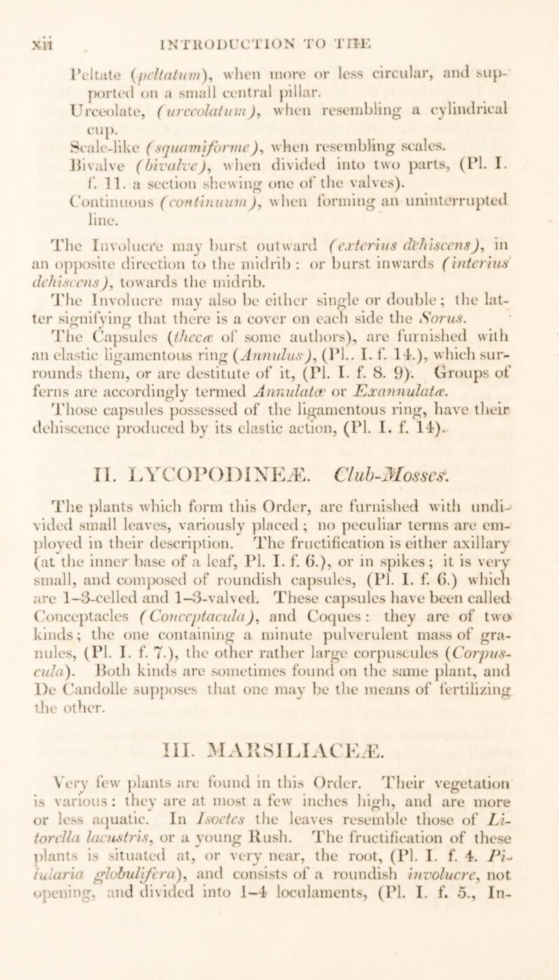 Peltate (peltatum), when more or less circular, and sup- ported on a small central pillar. Urceolatc, (urccolatinn), when resembling a cylindrical cup. Scale-like (squamiforme), when resembling scales. Bivalve (bivalve), when divided into two parts, (PI. I. f. 11. a section shewing one of the valves). . . ° ' . Continuous (continuum), when lornnng an uninterrupted line. The Involucre may burst outward (exterms dPliiscens), in an opposite direction to the midrib : or burst inwards (interius dchiscens), towards the midrib. The Involucre may also be either single or double; the lat- ter signifying that there is a cover on each side the Sorus. The Capsules (theca of some authors), arc furnished with an elastic ligamentous ring (Annulus), (Pi.. I. f. Id.), which sur- rounds them, or are destitute of it, (PI. I. f. 8. 9). Groups of ferns are accordingly termed Annulatep or Ex annulate. Those capsules possessed of the ligamentous ring, have their dehiscence produced by its elastic action, (PI. I. f. 14).- 11. LYCOPC)I3INEiE. Club-Mosses The plants which form this Order, are furnished with undi- vided small leaves, variously placed; no peculiar terms are em- ployed in their description. The fructification is either axillary (at the inner base of a leaf, PI. I. f. 6.), or in spikes; it is very small, and composed of roundish capsules, (PI. I. f. 6.) which are 1-3-celled and 1-3-valved. These capsules have been called Conceptacles (Conccptacula), and Coques : they are of two kinds; the one containing a minute pulverulent mass of gra- nules, (PL I. f. 7.), the other rather large corpuscules (Corpus- culci). Both kinds are sometimes found on the same plant, and l)e Candolle supposes that one may be the means of fertilizing the other. III. MAllSILIACE/E. Very few plants are found in this Order. Their vegetation is various: they are at most a few inches high, and are more or less aquatic. In Isoetes the leaves resemble those of Li- torclla lacustris, or a young Rush. The fructification of these plants is situated at, or very near, the root, (PI. I. f. 4. Pi- lularia globulifcru), and consists of a roundish involucre, not