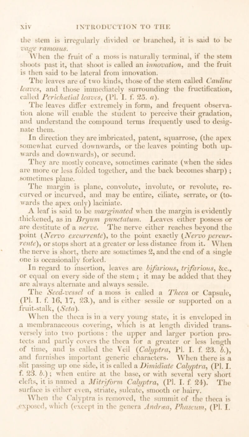 the stem is irregularly divided or branched, it is said to be iv/V ramosus. When the fruit of a moss is naturally terminal, if the stem slux)ts past it, that shoot is called an Innovation, and the fruit is then said to be lateral from innovation. The leaves are of two kinds, those of the stem called Cauline leaves, and those immediately surrounding the fructification, called Periehatiul leaves, (PI. I. f. 2o. a). The leaves differ extremely in form, and frequent observa- tion alone will enable the student to perceive their gradation, and understand the compound terms frequently used to desig- nate them. In direction they are imbricated, patent, squarrose, (the apex somewhat curved downwards, or the leaves pointing both up- wards and downwards), or secund. They are mostly concave, sometimes carinate (when the sides are more or less folded together, and the back becomes sharp) ; sometimes plane. The margin is plane, convolute, involute, or revolute, re- curved or incurved, and may be entire, ciliate, serrate, or (to- wards the apex only) laciniate. A leaf is said to be marginated when the margin is evidently thickened, as in Bryum punctatum. Leaves either possess or are destitute of a nerve. The nerve either reaches beyond the point (Nervo excurrentc), to the point exactly (Nervo pcrcur- rente), or stops short at a greater or less distance from it. When the nerve is short, there are sometimes 2, and the end of a single one is occasionally forked. In regard to insertion, leaves are bifarious, trifurious, 8cc., or equal on every side of the stem ; it may be added that they are always alternate and always sessile. The Seed-vessel, of a moss is called a Theca or Capsule, (PI. I. f. 16, 17, 23.), and is either sessile or supported on a fruit-stalk, (Seta). When the theca is in a very young state, it is enveloped in a membranaceous covering, which is at length divided trans- versely into two portions: the upper and larger portion pro- tects and partly covers the theca for a greater or less length of time, and is called the Veil (Calyptra, PI. I. f. 23. b.), and furnishes important generic characters. When there is a slit passing up one side, it is called a Dimidiate Calyptra, (PI. I. f. 23. b.); when entire at the base, or with several very short clefts, it is named a Mitriform Calyptra, (PI. I. f 24). The surface is either even, striate, sulcate, smooth or hairy. When the Calyptra is removed, the summit of the theca is exposed, which (except in the genera Andraa, Phascum, (PI. I.