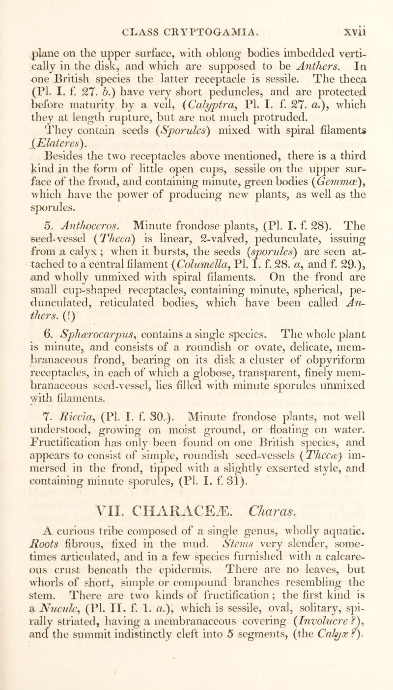 plane on the upper surface, with oblong bodies imbedded verti- cally in the disk, and which are supposed to be Anthers. In one British species the latter receptacle is sessile. The theca (pi. i. f. 27. b.) have very short peduncles, and are protected before maturity by a veil, (Calyptra, PI. I. f. 27. a.), which they at length rupture, but are not much protruded. They contain seeds {,Sporules) mixed with spiral filaments XElateres). Besides the two receptacles above mentioned, there is a third kind in the form of little open cups, sessile on the upper sur- face of the frond, and containing minute, green bodies (Gemmae), which have the power of producing new plants, as well as the sporules. 5. Anthoceros. Minute frondose plants, (Pi. I. f. 28). The seed-vessel {Theca) is linear, 2-valved, pedunculate, issuing from a calyx; when it bursts, the seeds (sporules) are seen at- tached to a central filament (Columella, Pi. I. f. 28. «, and f. 29.), and wholly unmixed with spiral filaments. On the frond are small cup-shaped receptacles, containing minute, spherical, pe- dunculated, reticulated bodies, which have been called An- thers. (!) 6. Sph(trocarpus, contains a single species. The whole plant is minute, and consists of a roundish or ovate, delicate, mem- branaceous frond, bearing on its disk a cluster of obpyriform receptacles, in each of which a globose, transparent, finely mem- branaceous seed-vessel, lies filled with minute sporules unmixed with filaments. 7. R iccia, (PI. I. f. 30.). Minute frondose plants, not well understood, growing on moist ground, or floating on water. Fructification has only been found on one British species, and appears to consist of simple, roundish seed-vessels {Theca) im- mersed in the frond, tipped with a slightly exserted style, and containing minute sporules, (PI. I. f. 31). VII. CHARACEAk Charas. A curious tribe composed of a single genus, wholly aquatic. Roots fibrous, fixed in the mud. Stems very slender, some- times articulated, and in a few species furnished with a calcare- ous crust beneath the epidermis. There are no leaves, but whorls of short, simple or compound branches resembling the stem. There are two kinds of fructification; the first kind is a Nucule, (PL II. f. 1. «.), which is sessile, oval, solitary, spi- rally striated, having a membranaceous covering {Involucre and the summit indistinctly cleft into 5 segments, (the Calyx r).